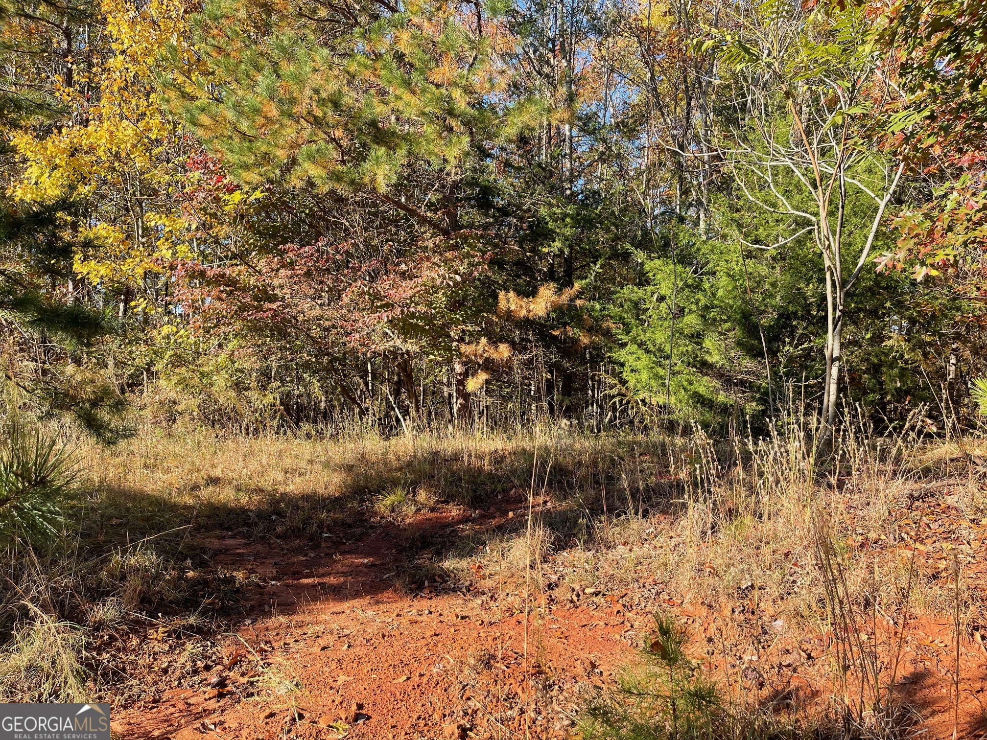 LOT 87 N Foxglove Road