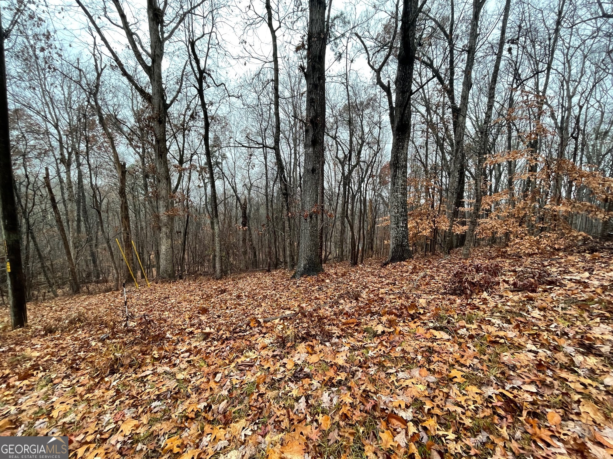 0 S Arrowhead Drive LOT 2134