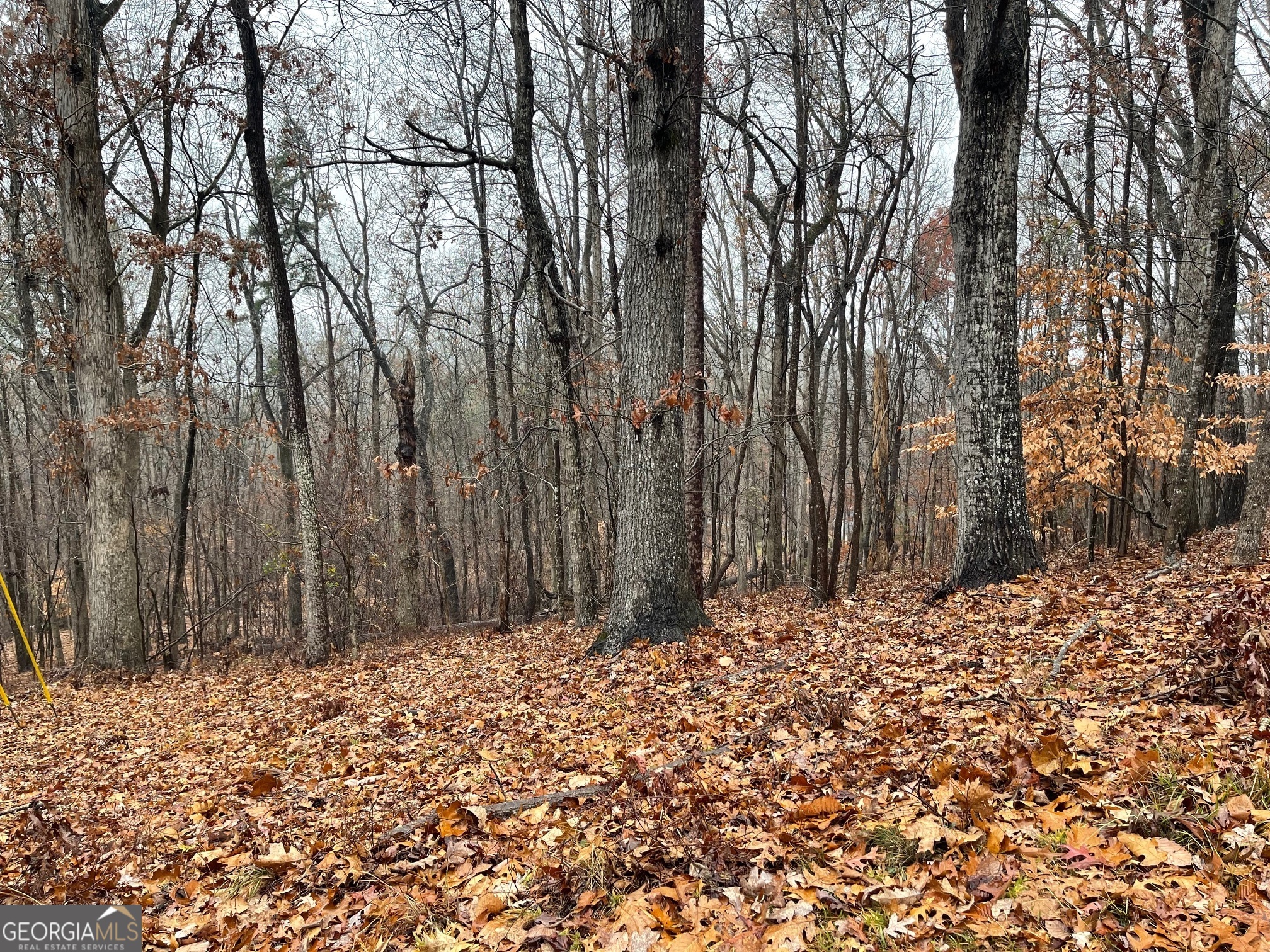 0 S Arrowhead Drive LOT 2134