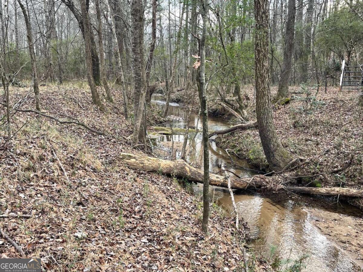 884 Jackson Trail Road