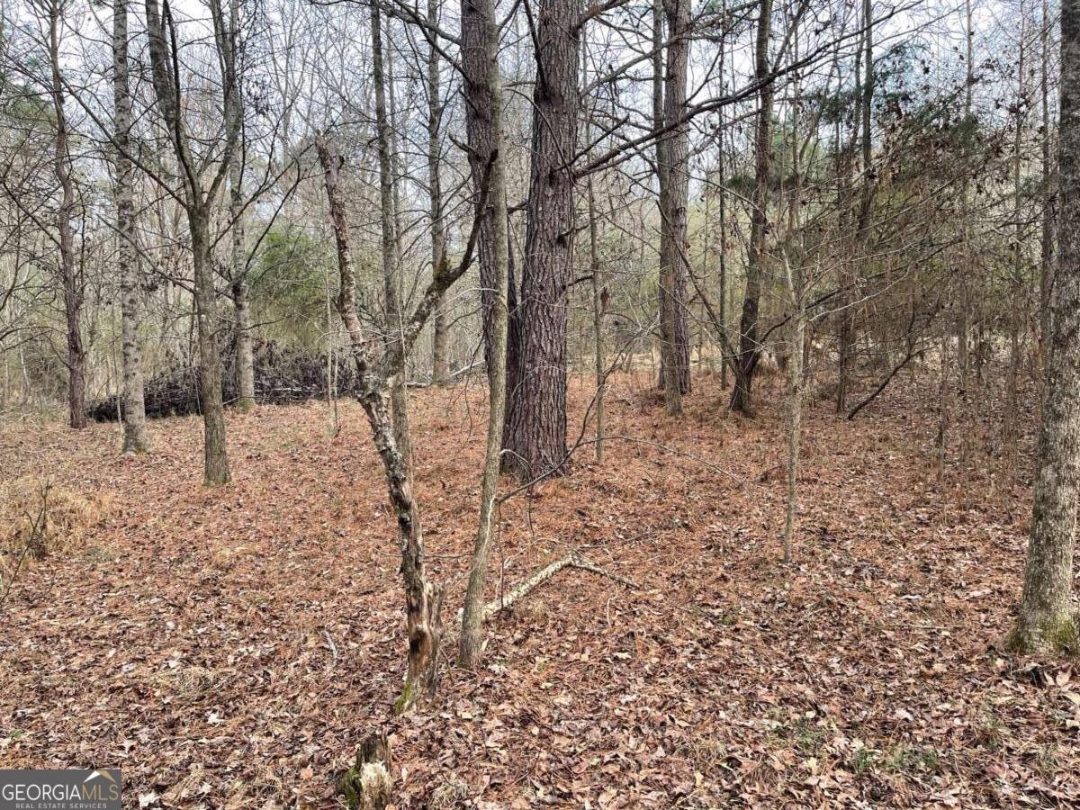 884 Jackson Trail Road