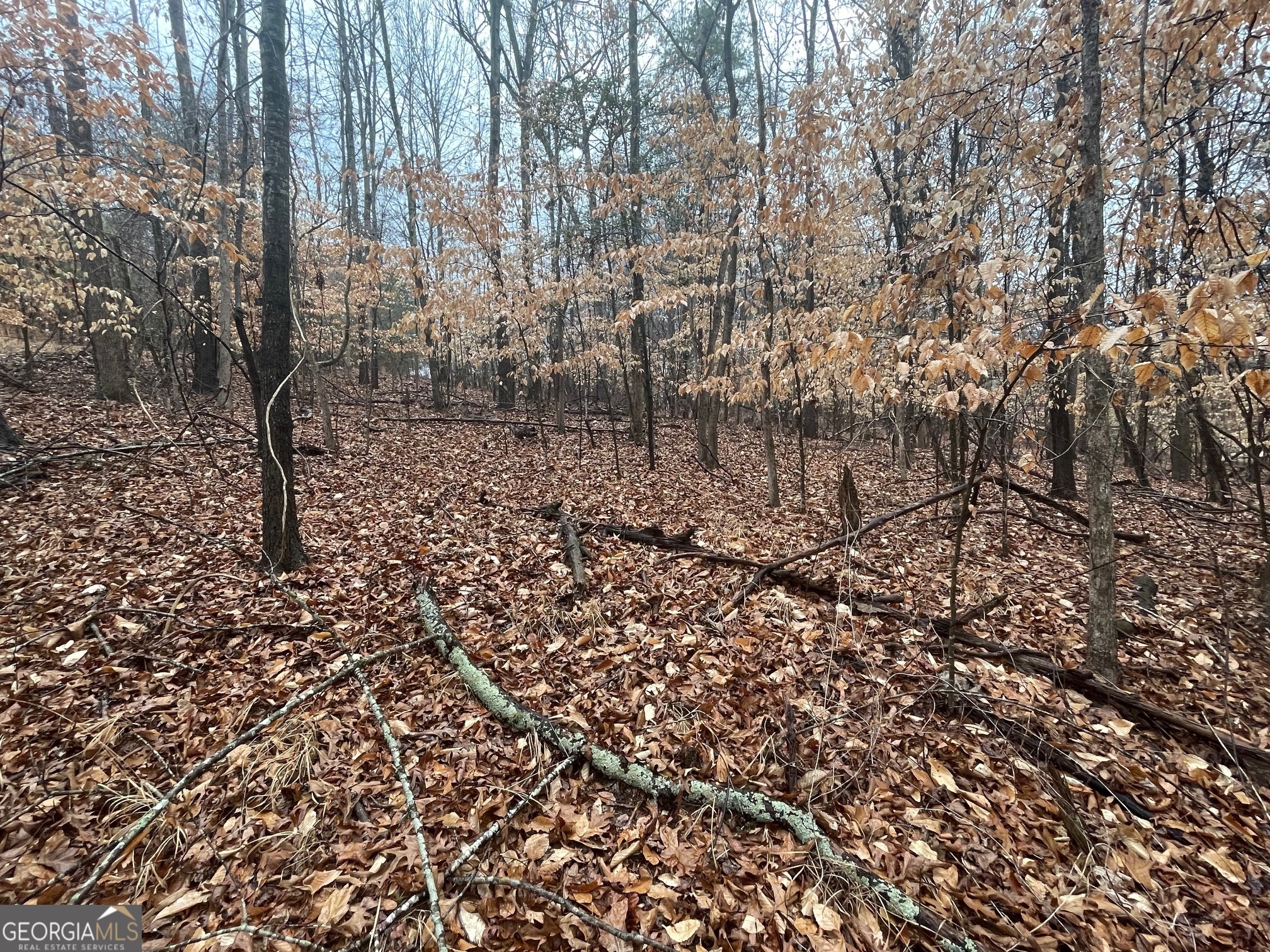 LOT 942 Birdie Court