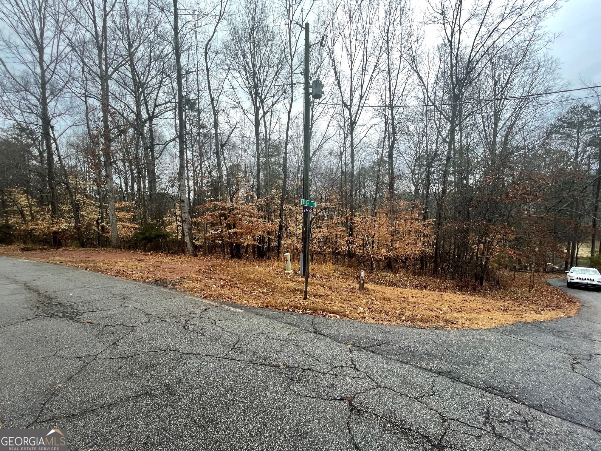 LOT 942 Birdie Court