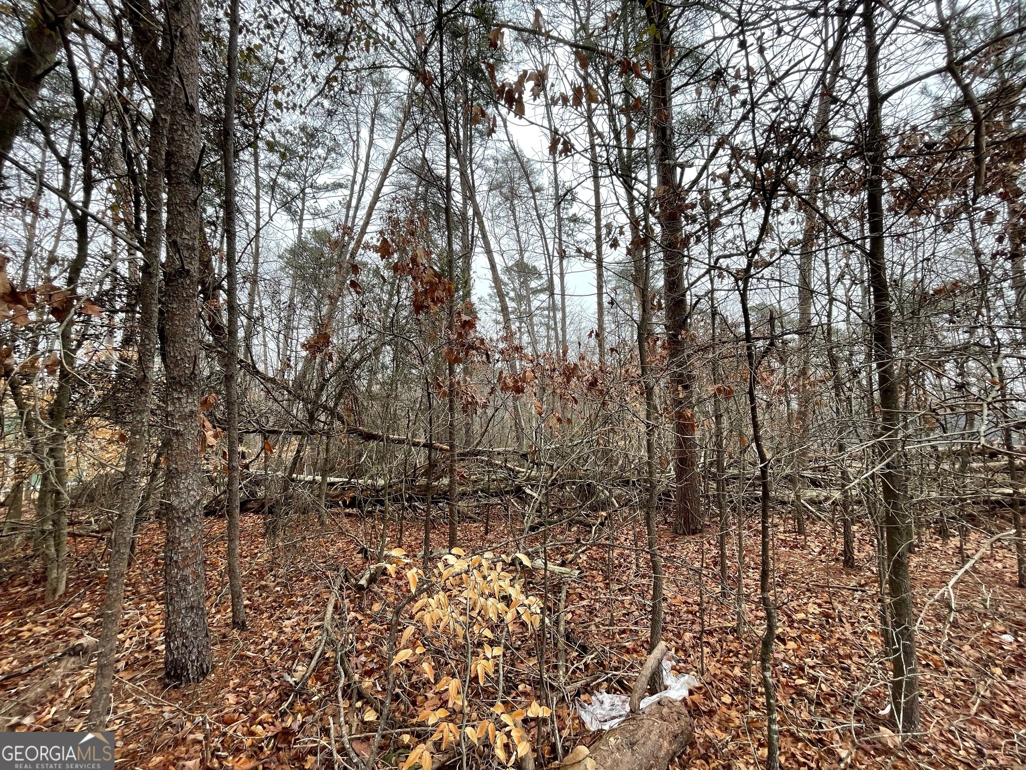 LOT 840-841 Player Lane