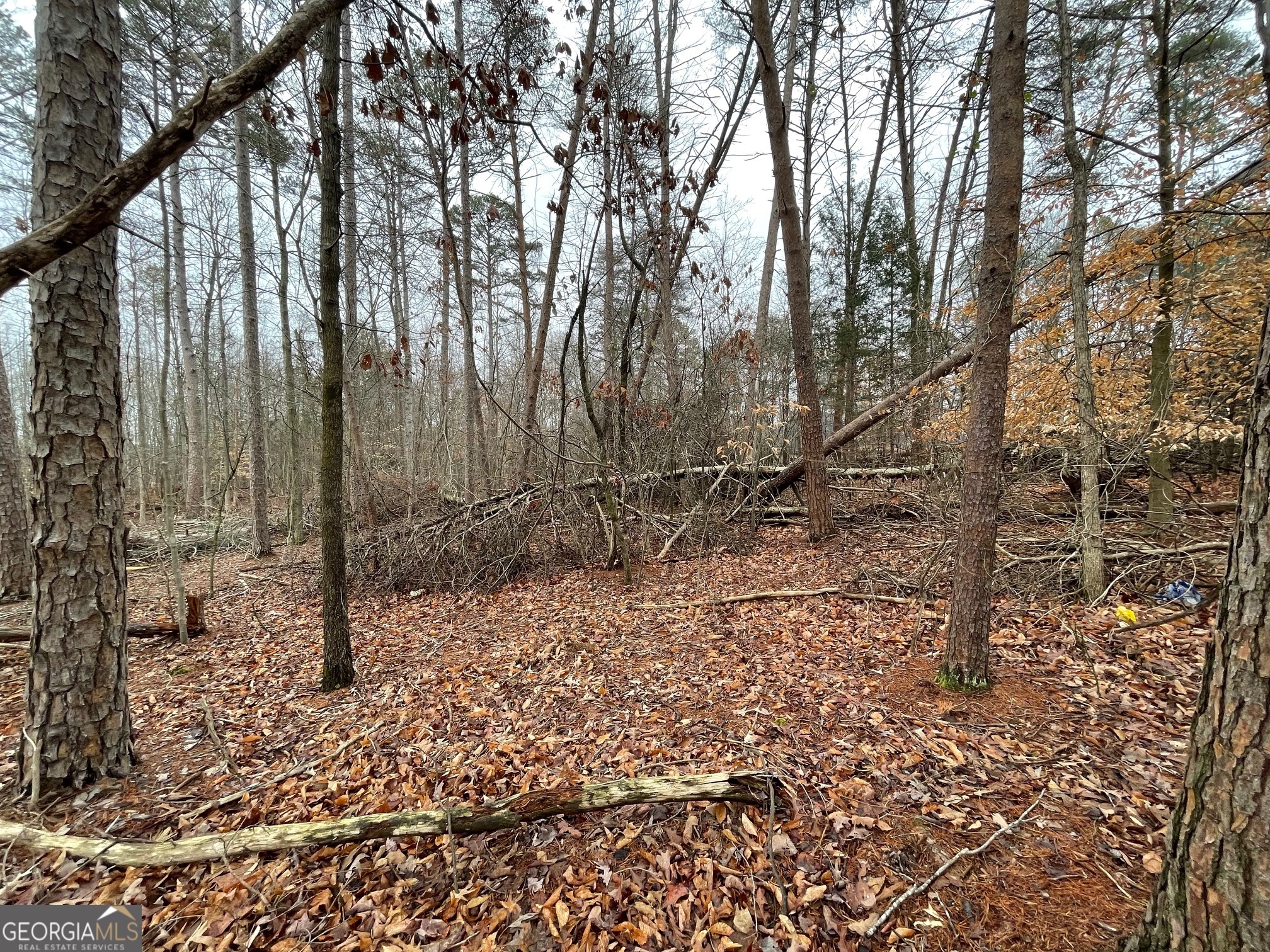 LOT 840-841 Player Lane