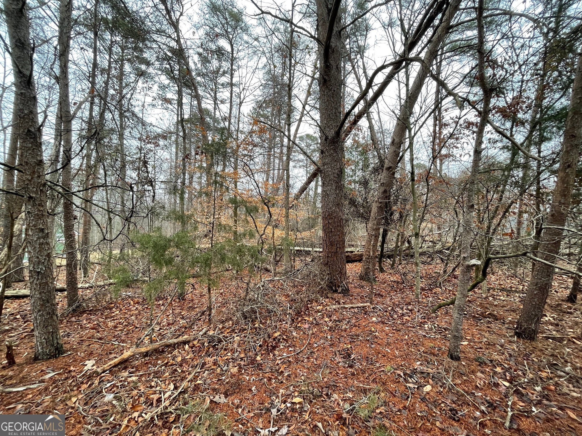 LOT 840-841 Player Lane