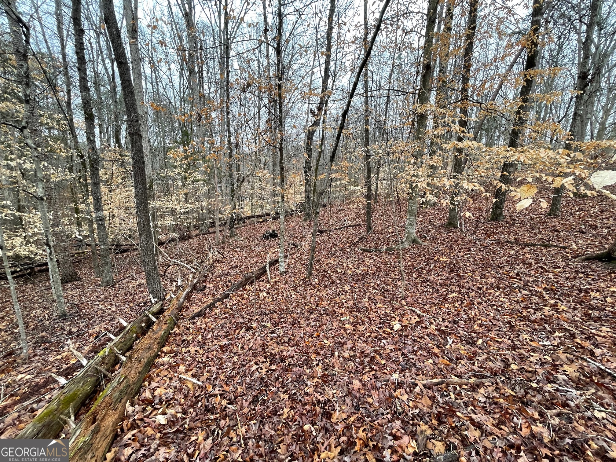 LOT 43 Chickasaw Drive