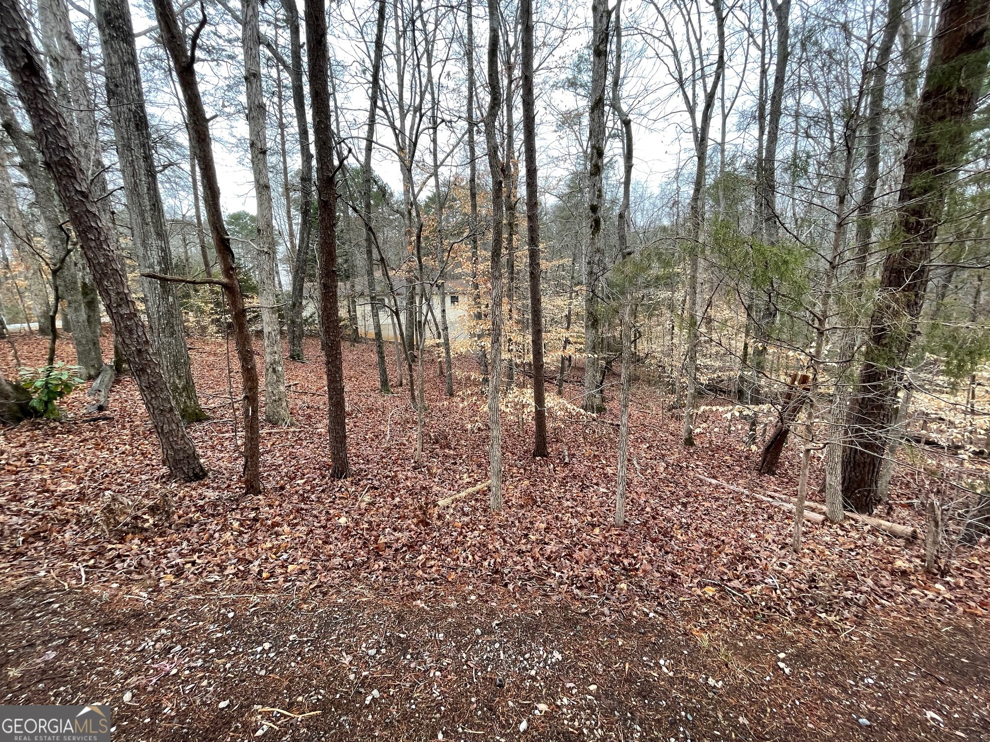 LOT 43 Chickasaw Drive