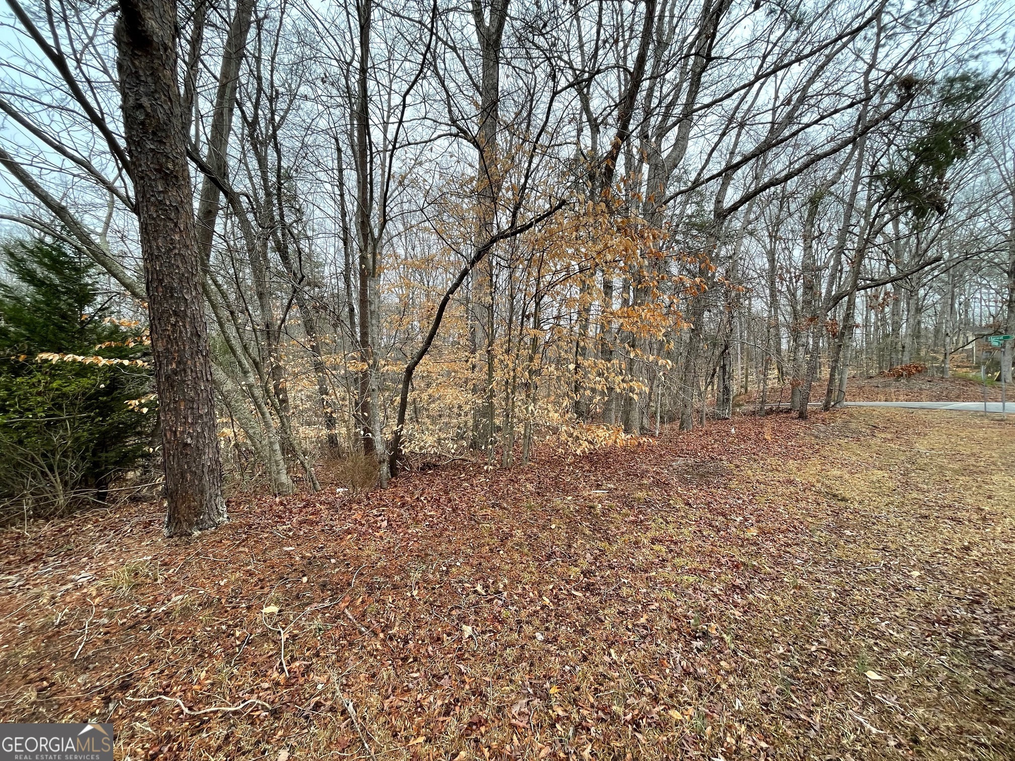 LOT 43 Chickasaw Drive