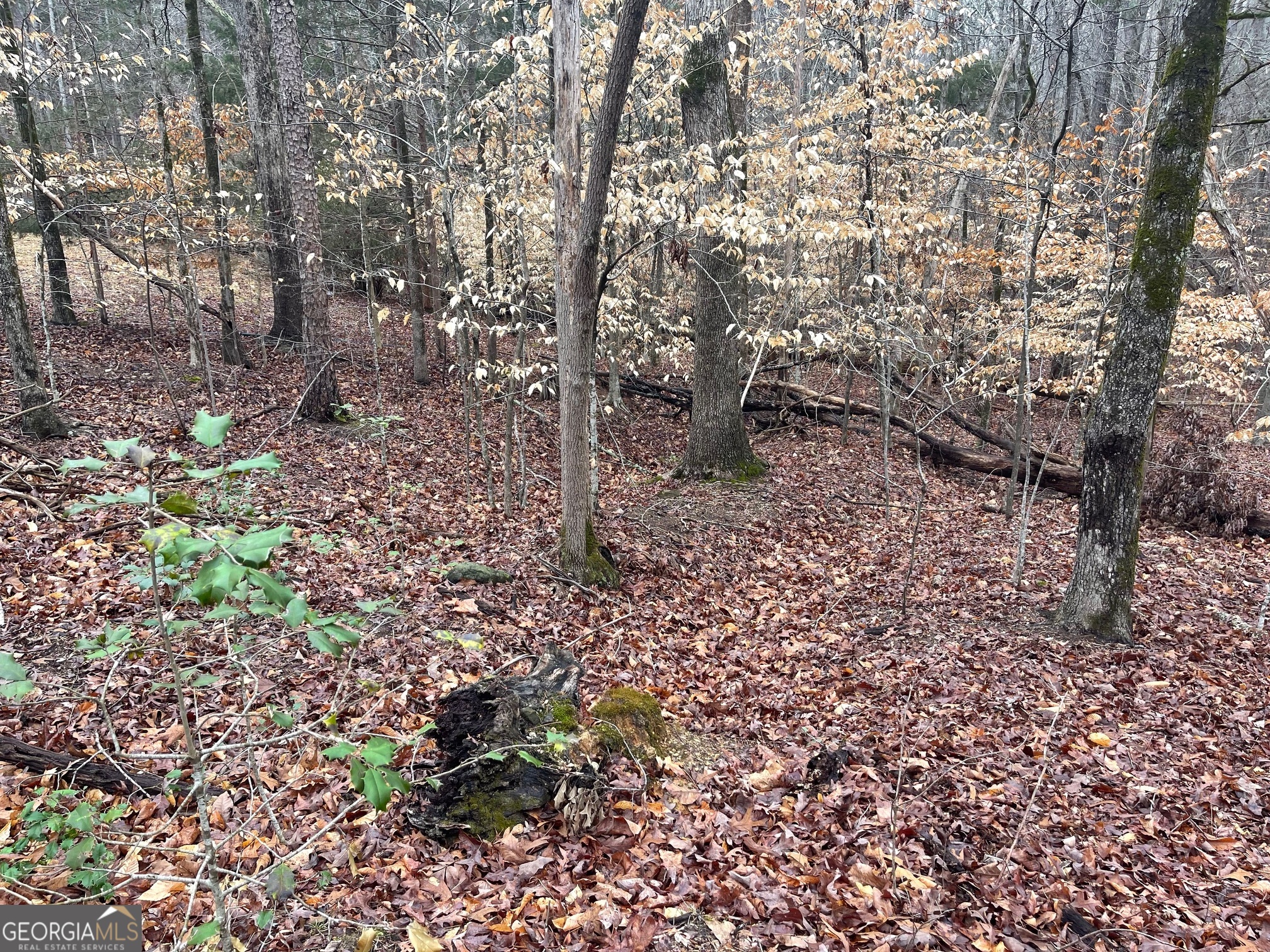 LOT 43 Chickasaw Drive