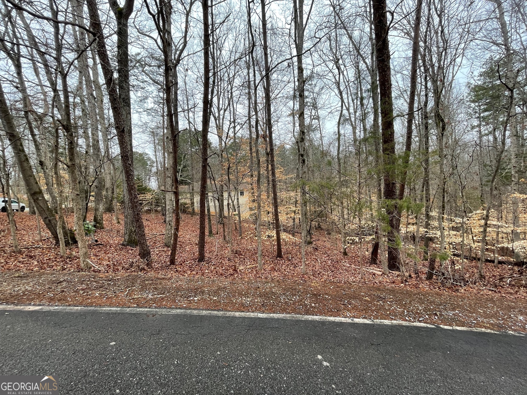 LOT 43 Chickasaw Drive
