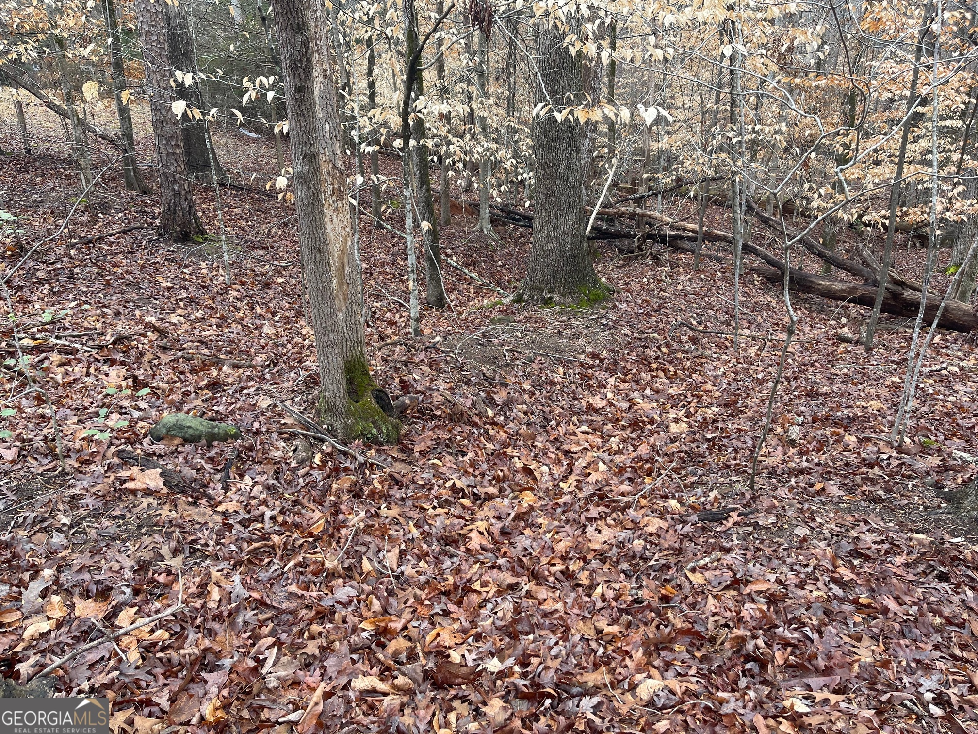 LOT 43 Chickasaw Drive