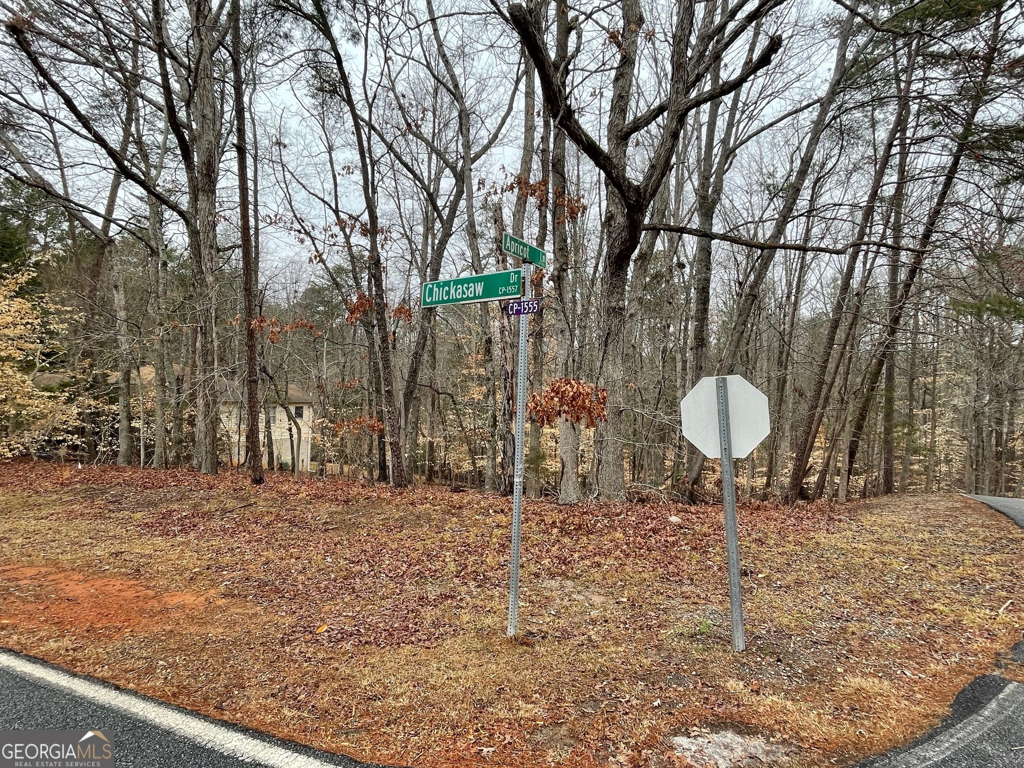 LOT 43 Chickasaw Drive
