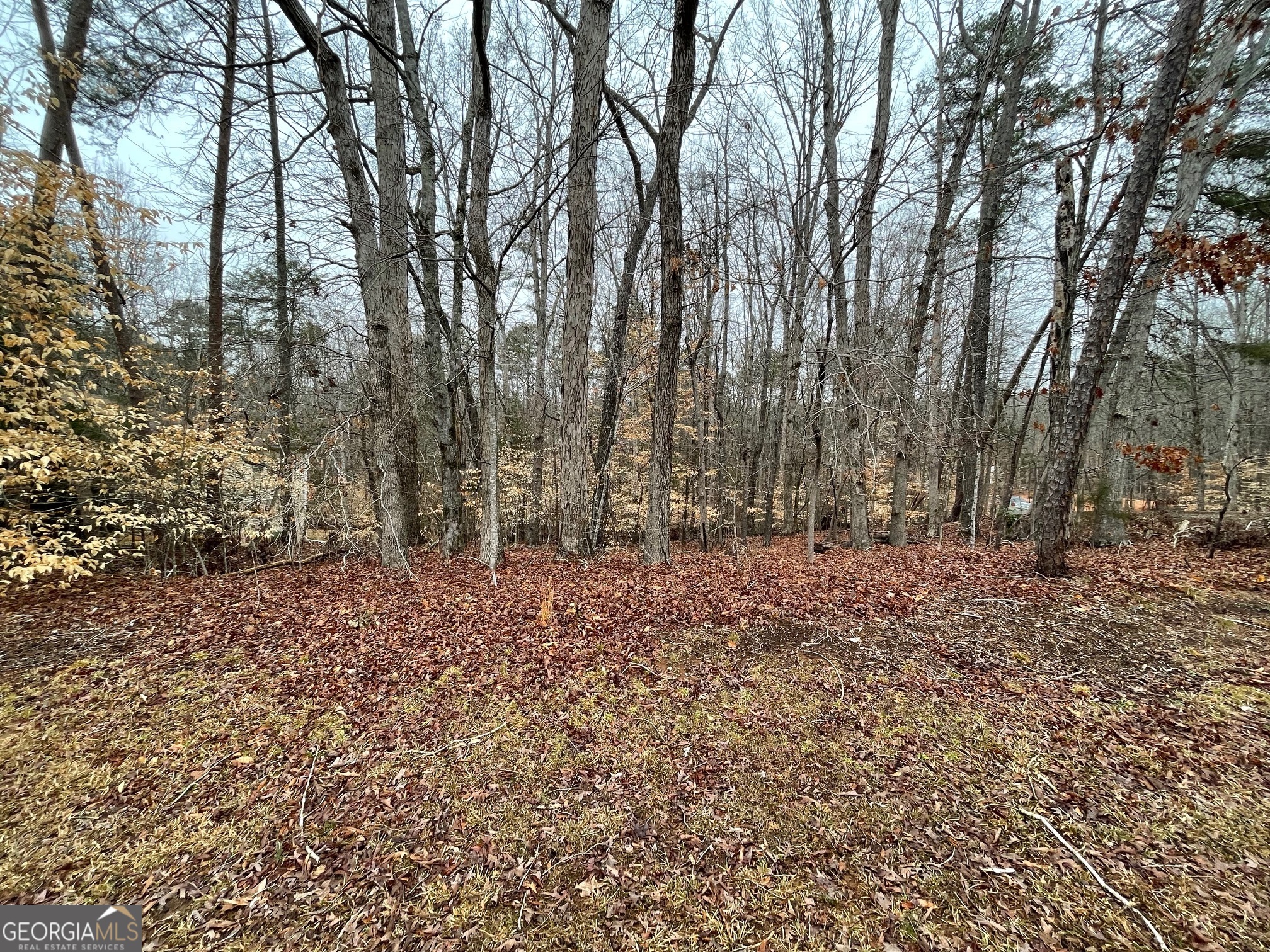 LOT 43 Chickasaw Drive