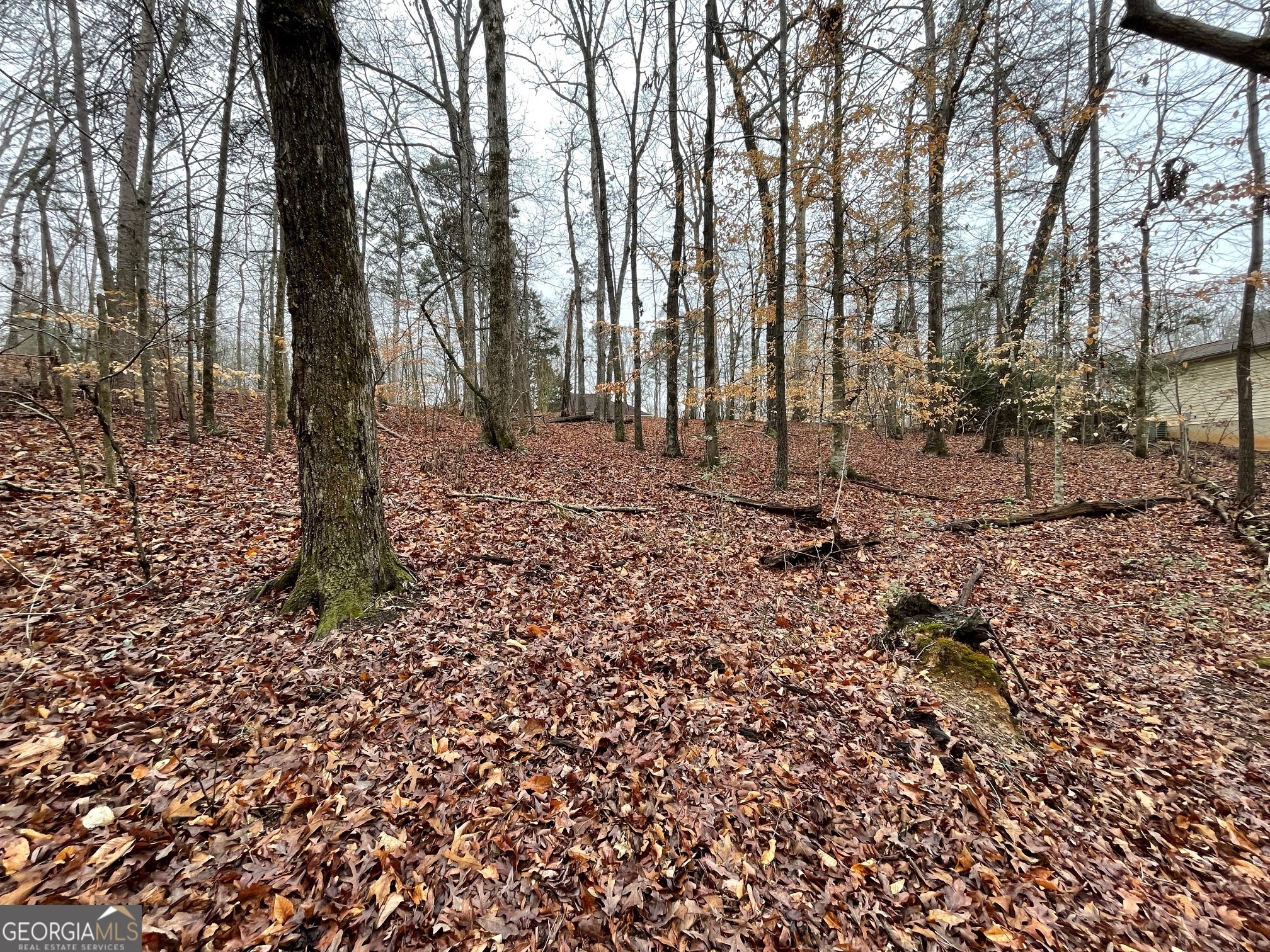 LOT 43 Chickasaw Drive