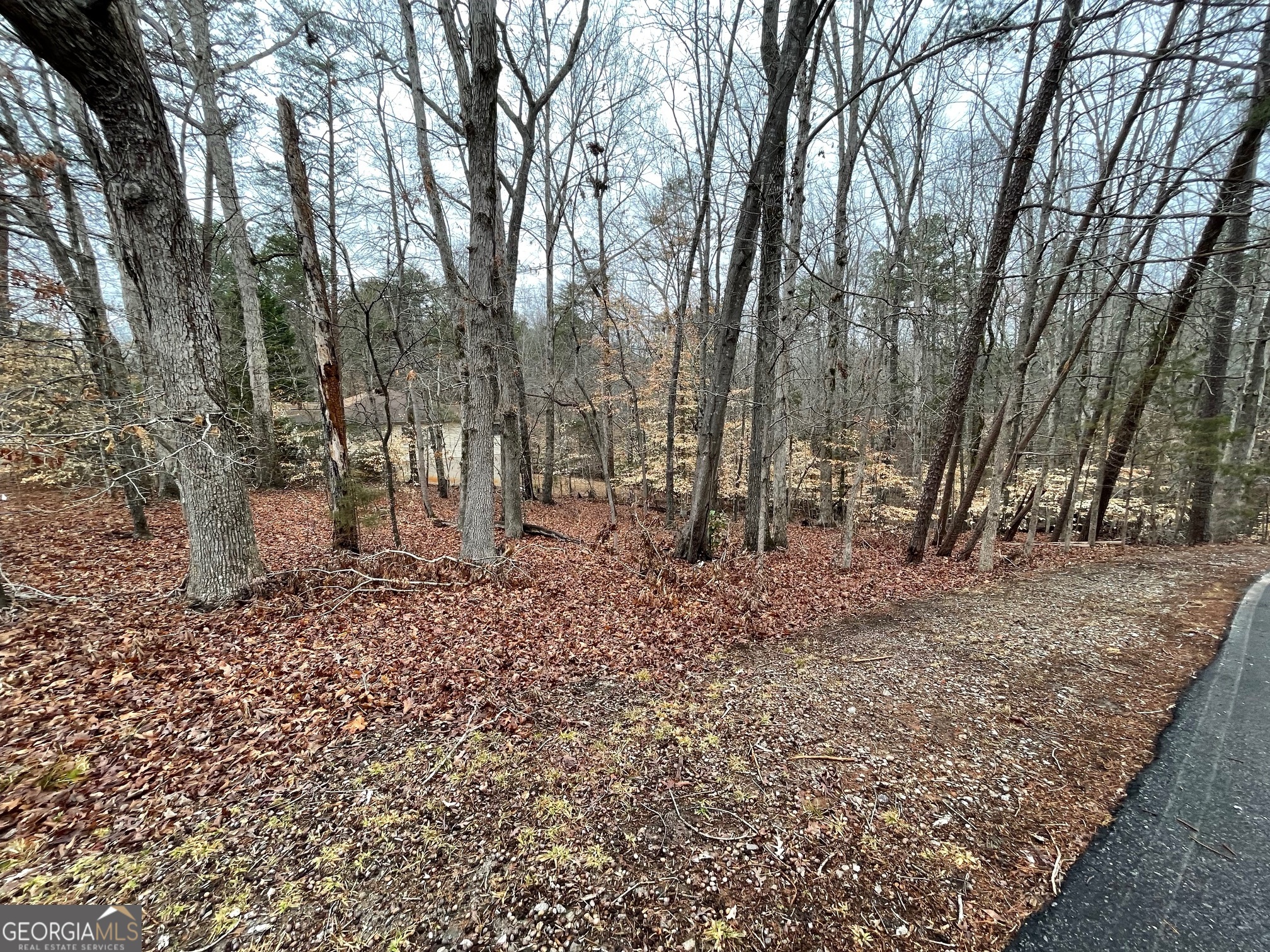 LOT 43 Chickasaw Drive