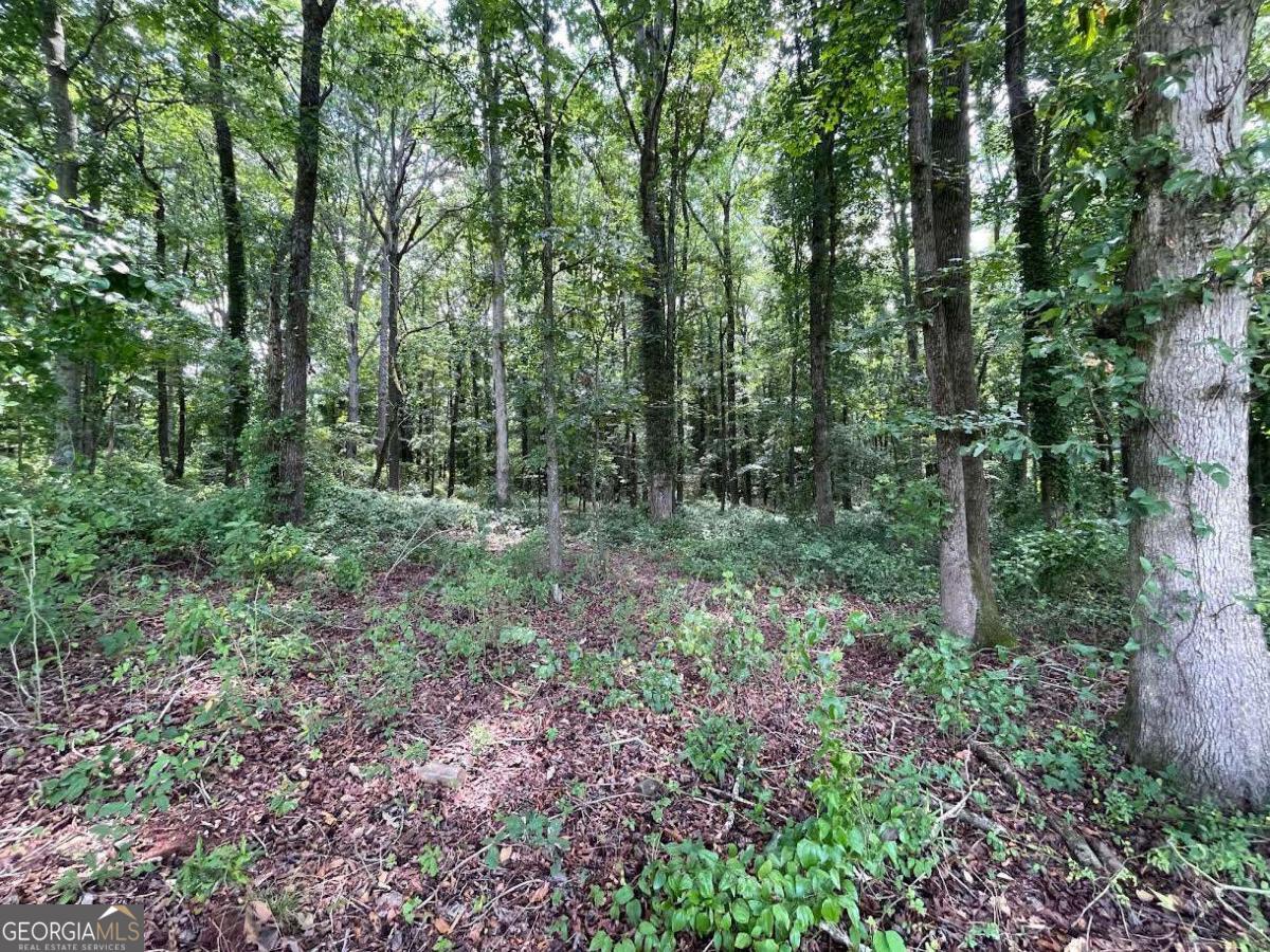 646 Harris Lord Cemetery Road