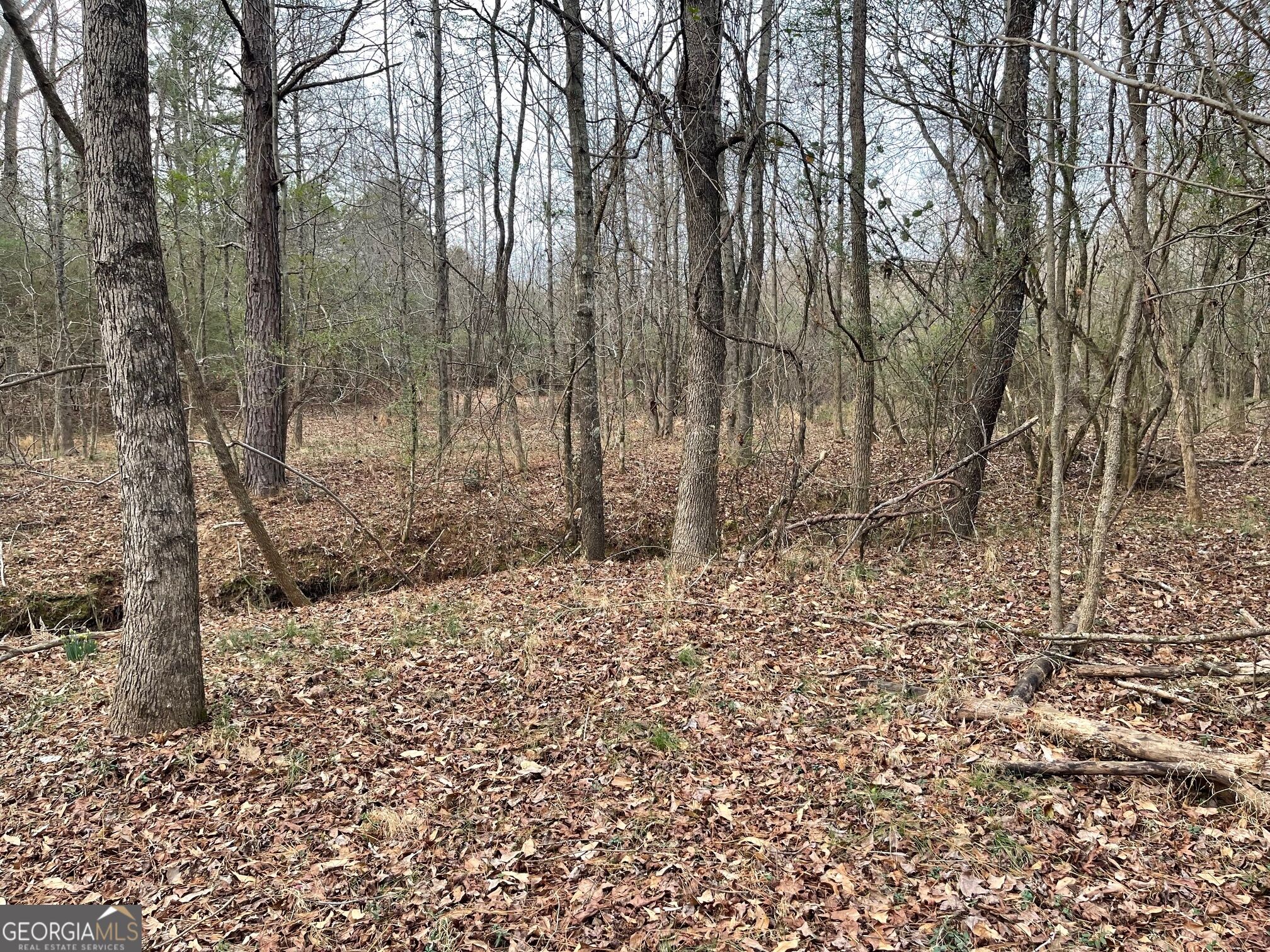884 Jackson Trail Road