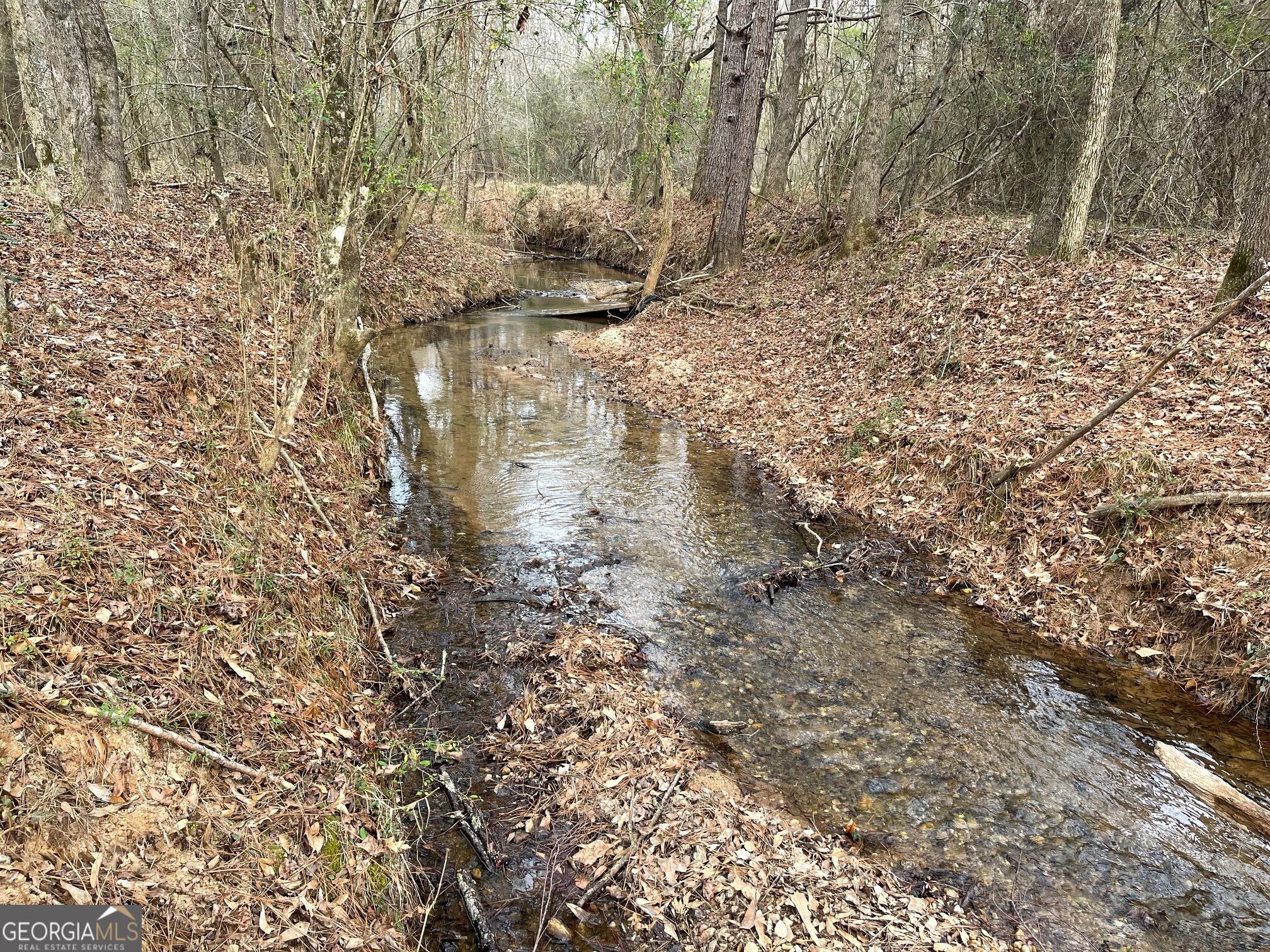 884 Jackson Trail Road