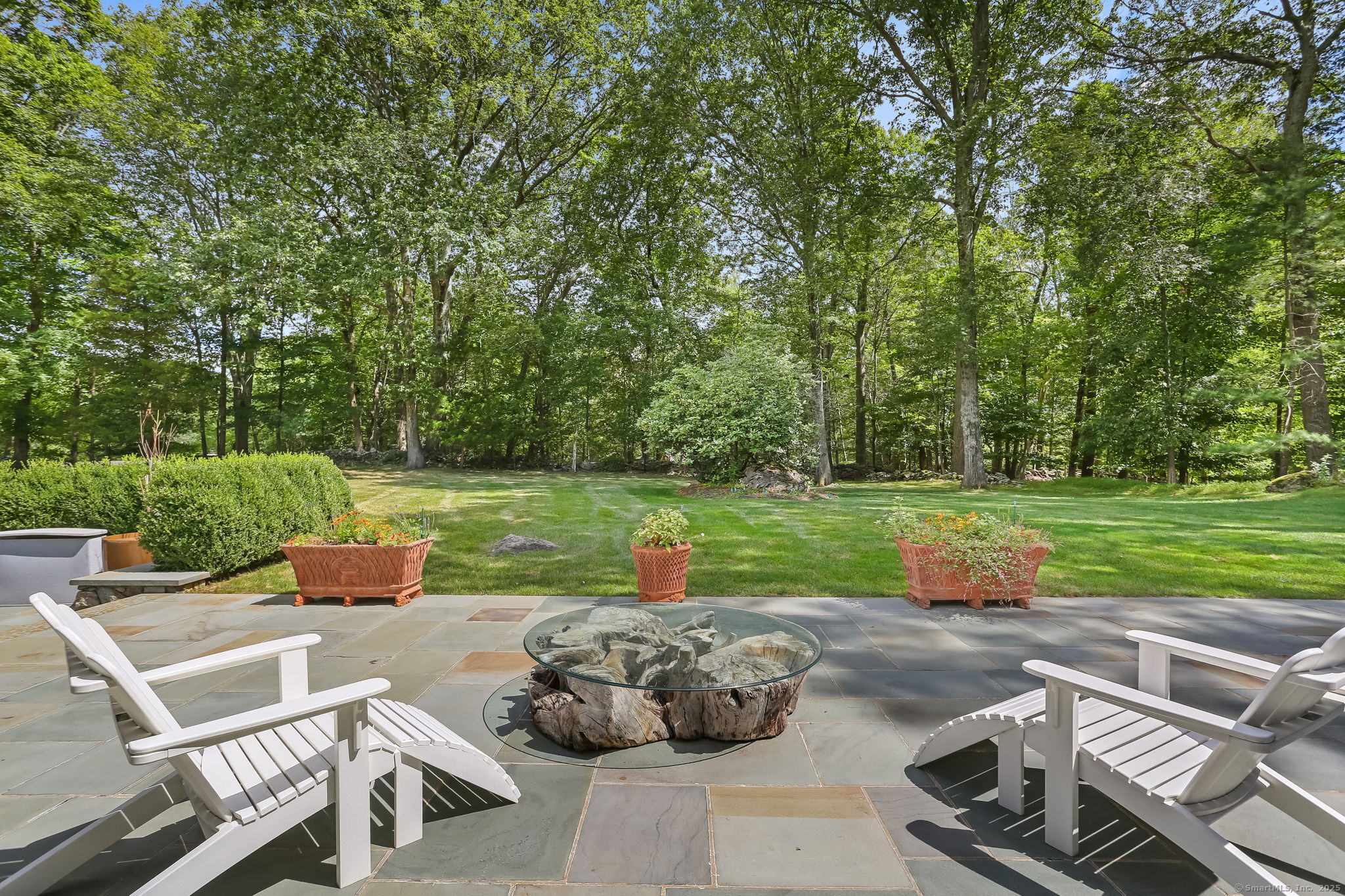 342 Mayapple Road