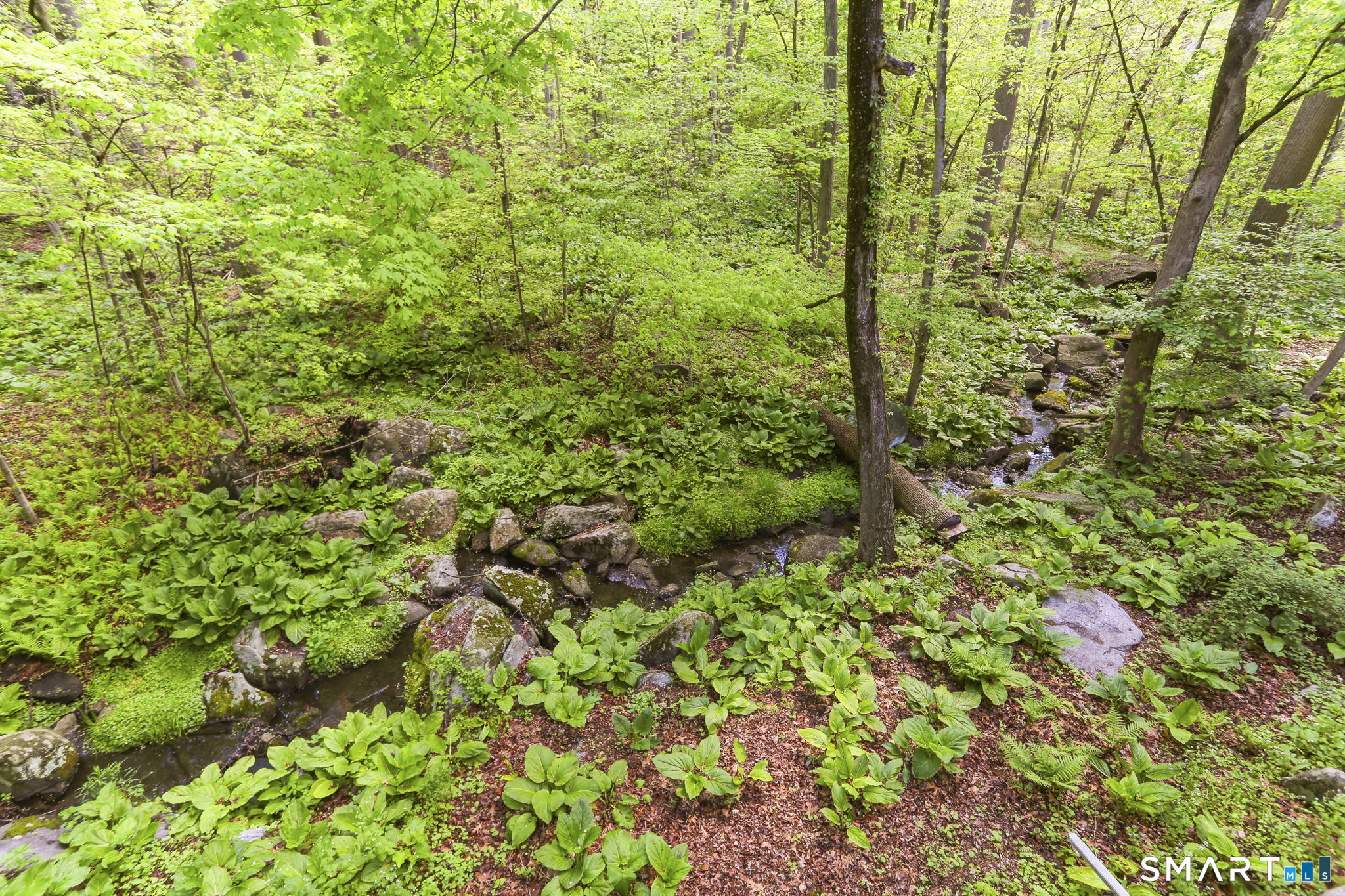 80 East Ridge Road