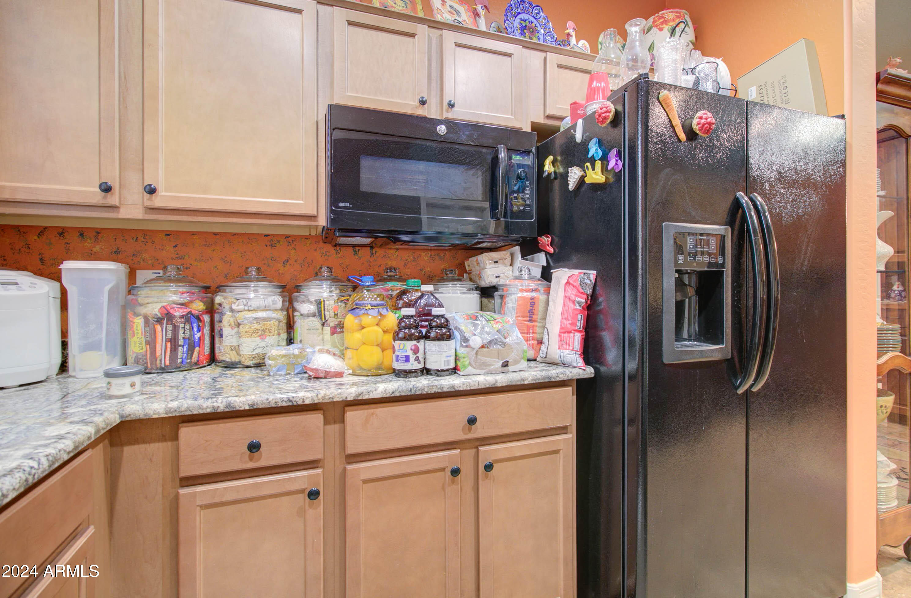4323 W MAGGIE Drive