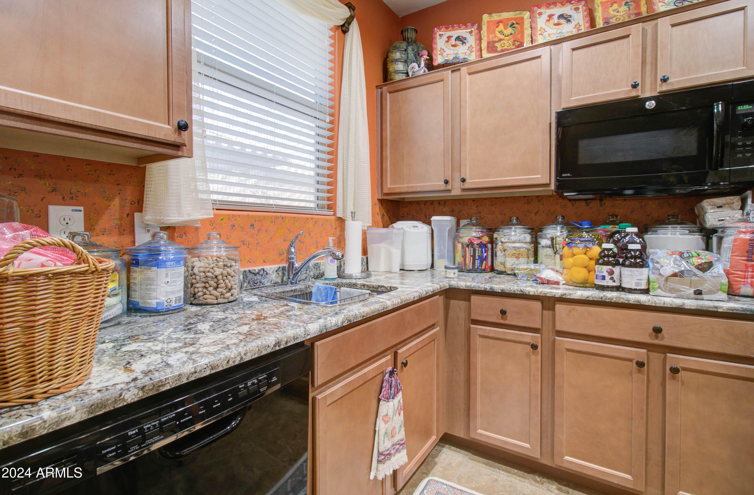 4323 W MAGGIE Drive