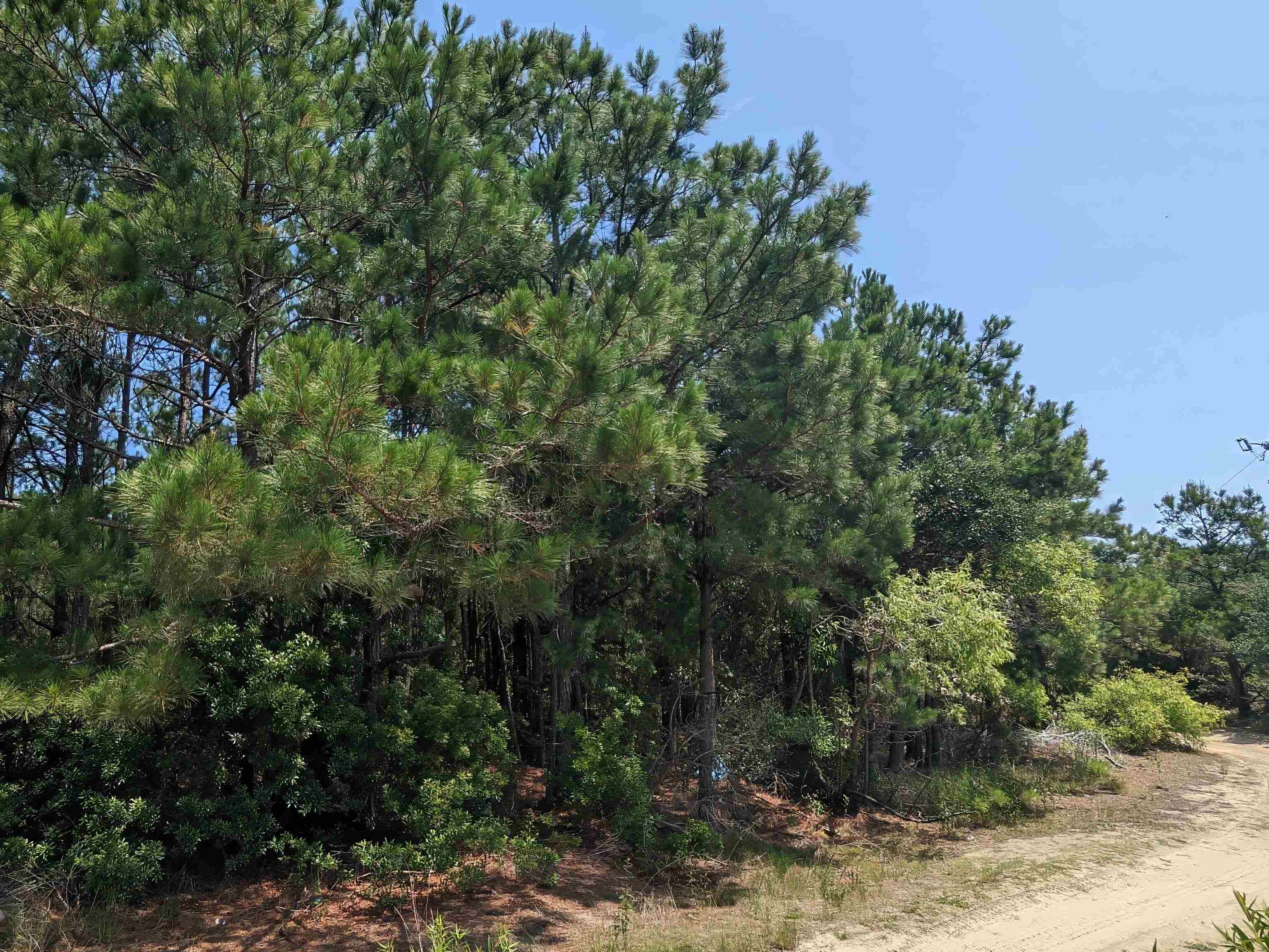 2254 E Swordfish Crescent Unit: Lot #12