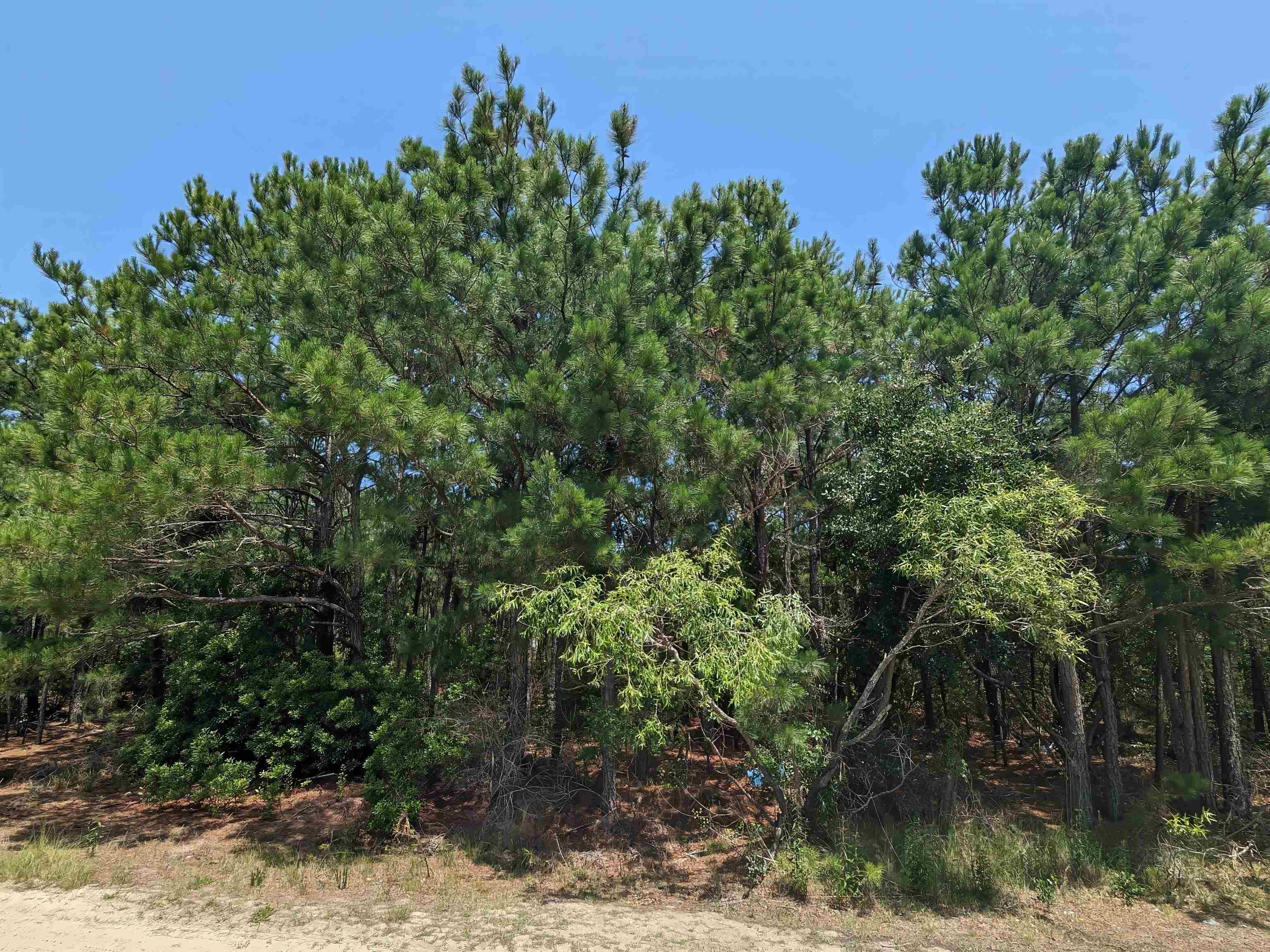 2254 E Swordfish Crescent Unit: Lot #12