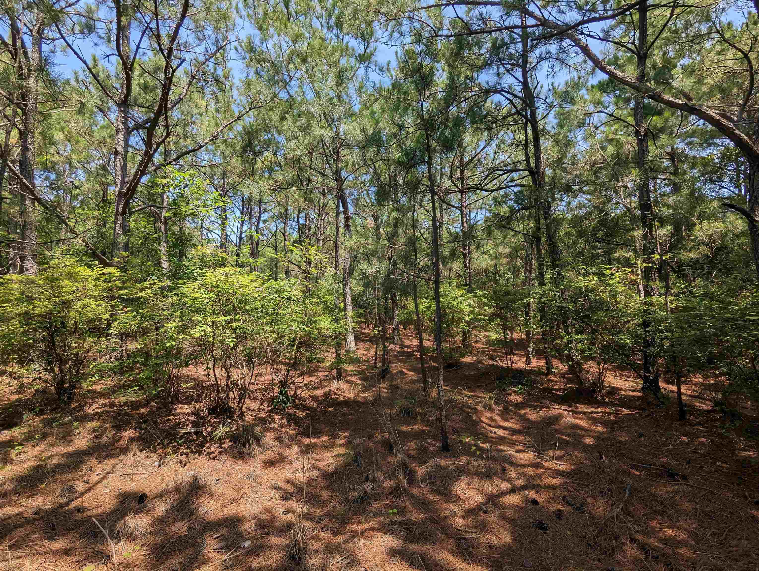 2254 E Swordfish Crescent Unit: Lot #12