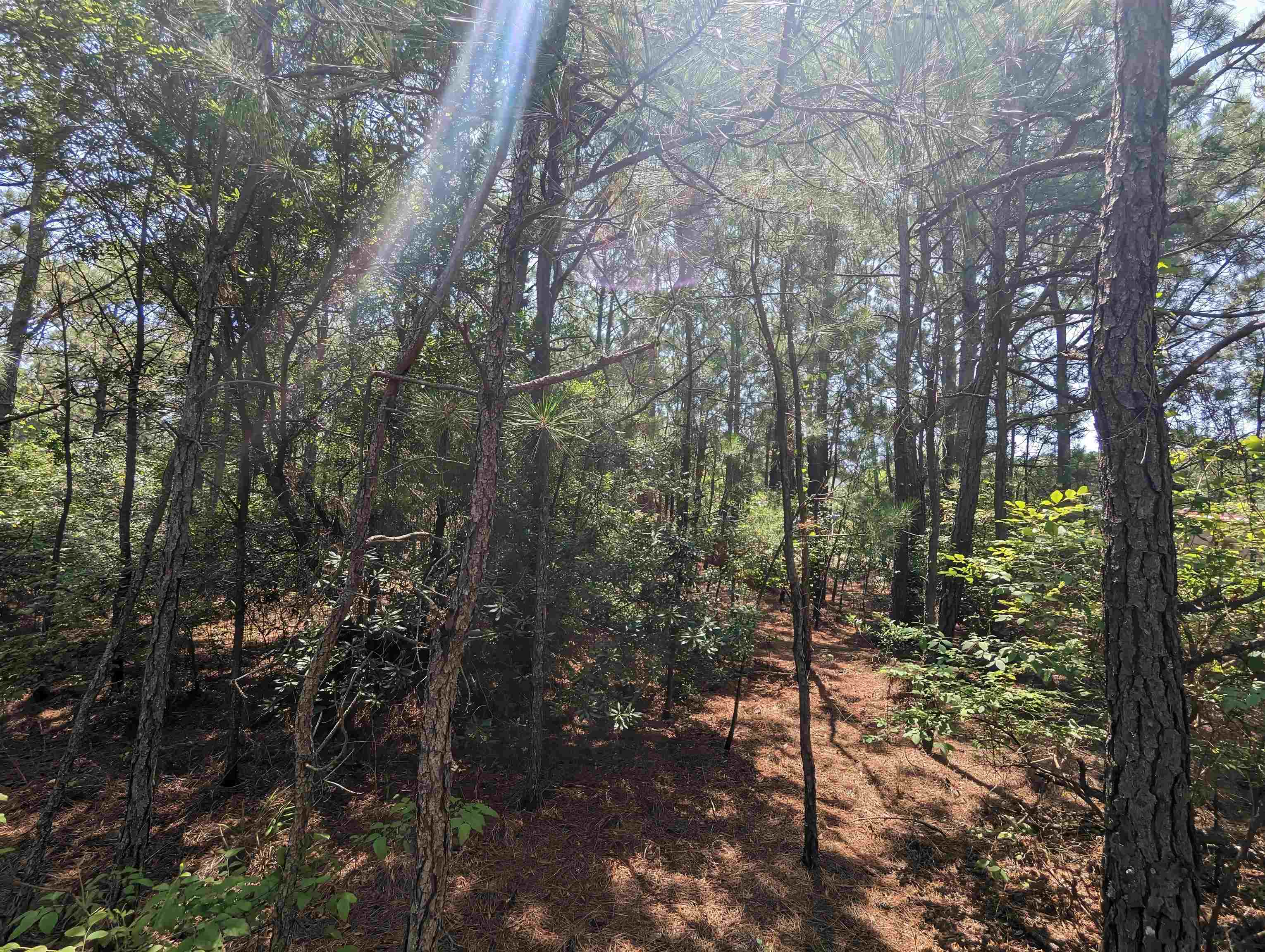 2254 E Swordfish Crescent Unit: Lot #12