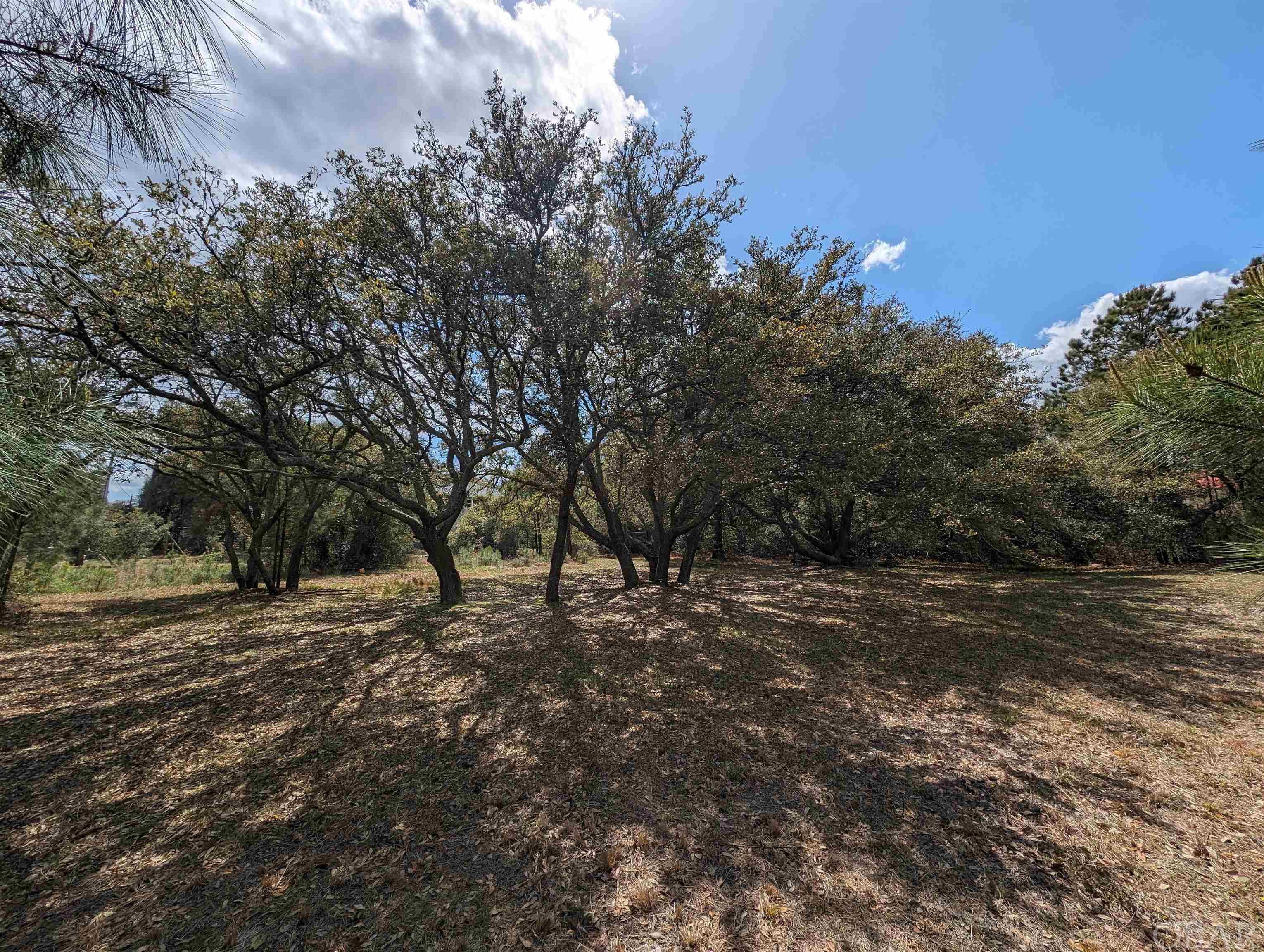 2390 Ocean Sands Road Lot 5