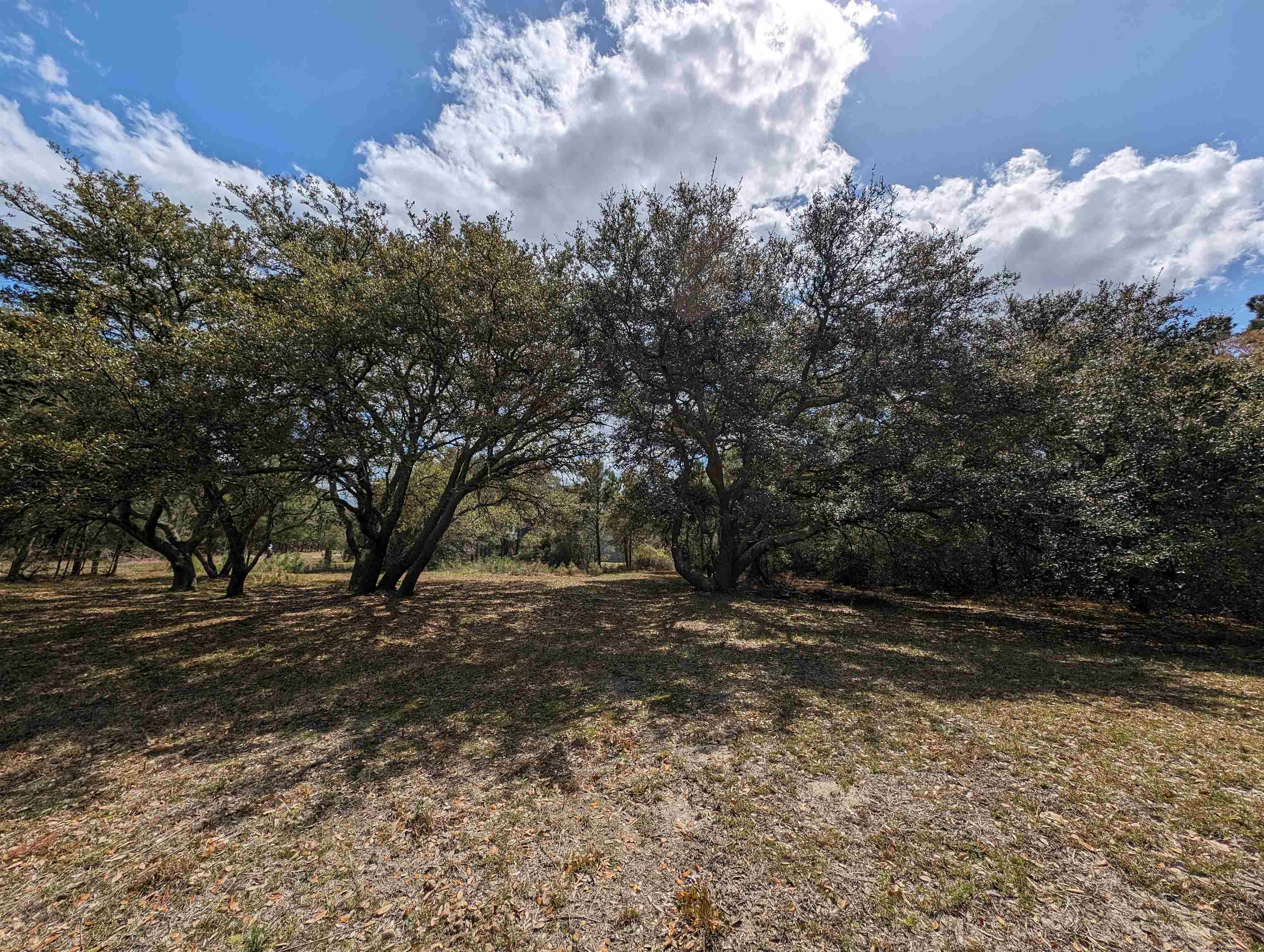 2390 Ocean Sands Road Lot 5