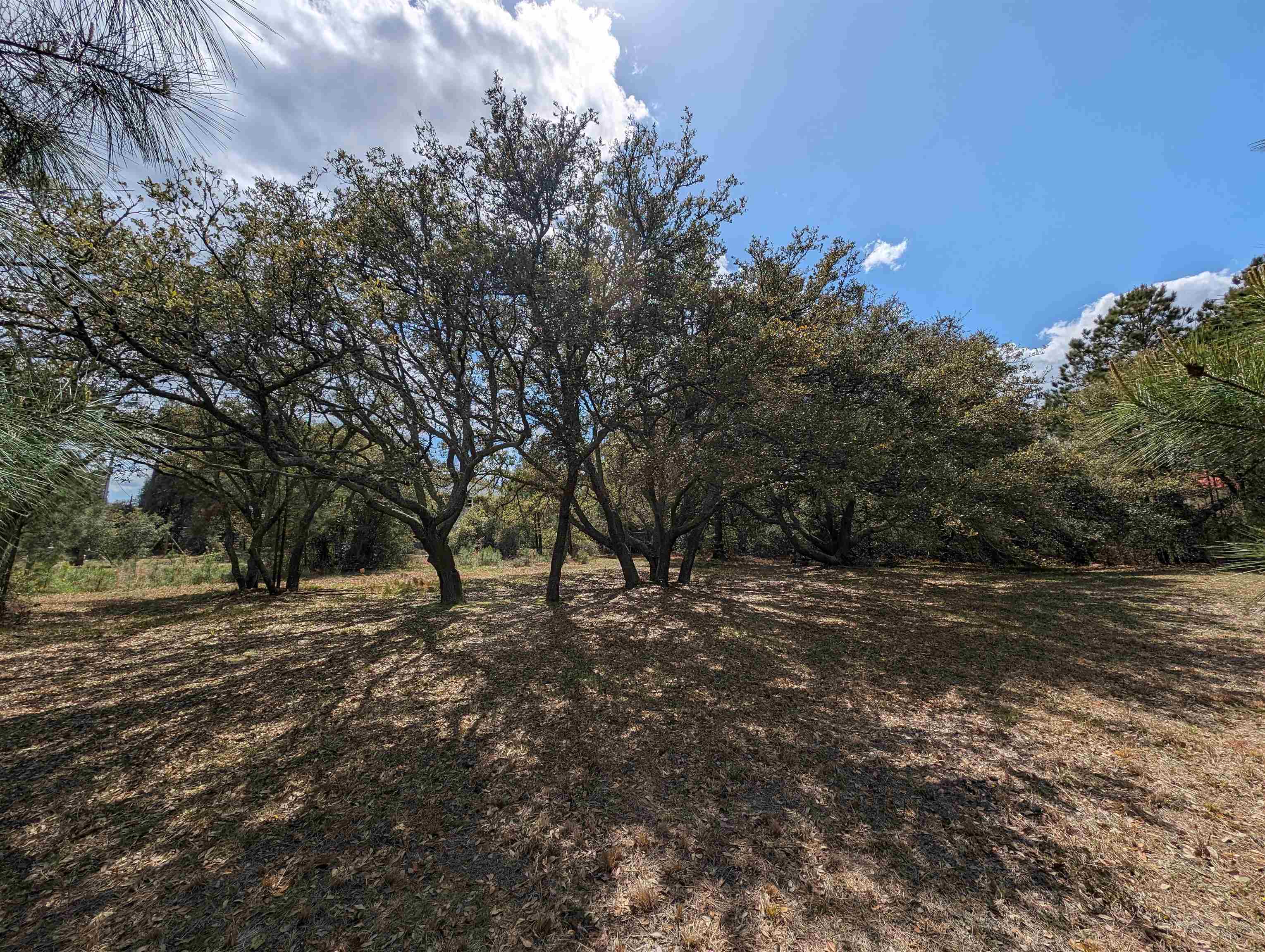 2390 Ocean Sands Road Lot 5
