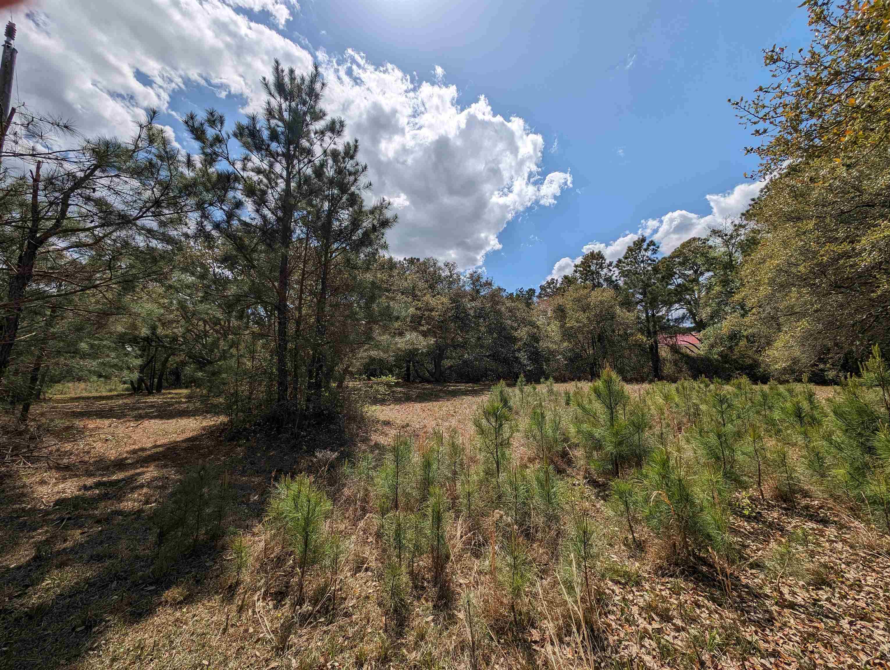 2392 Ocean Sands Road Lot 4