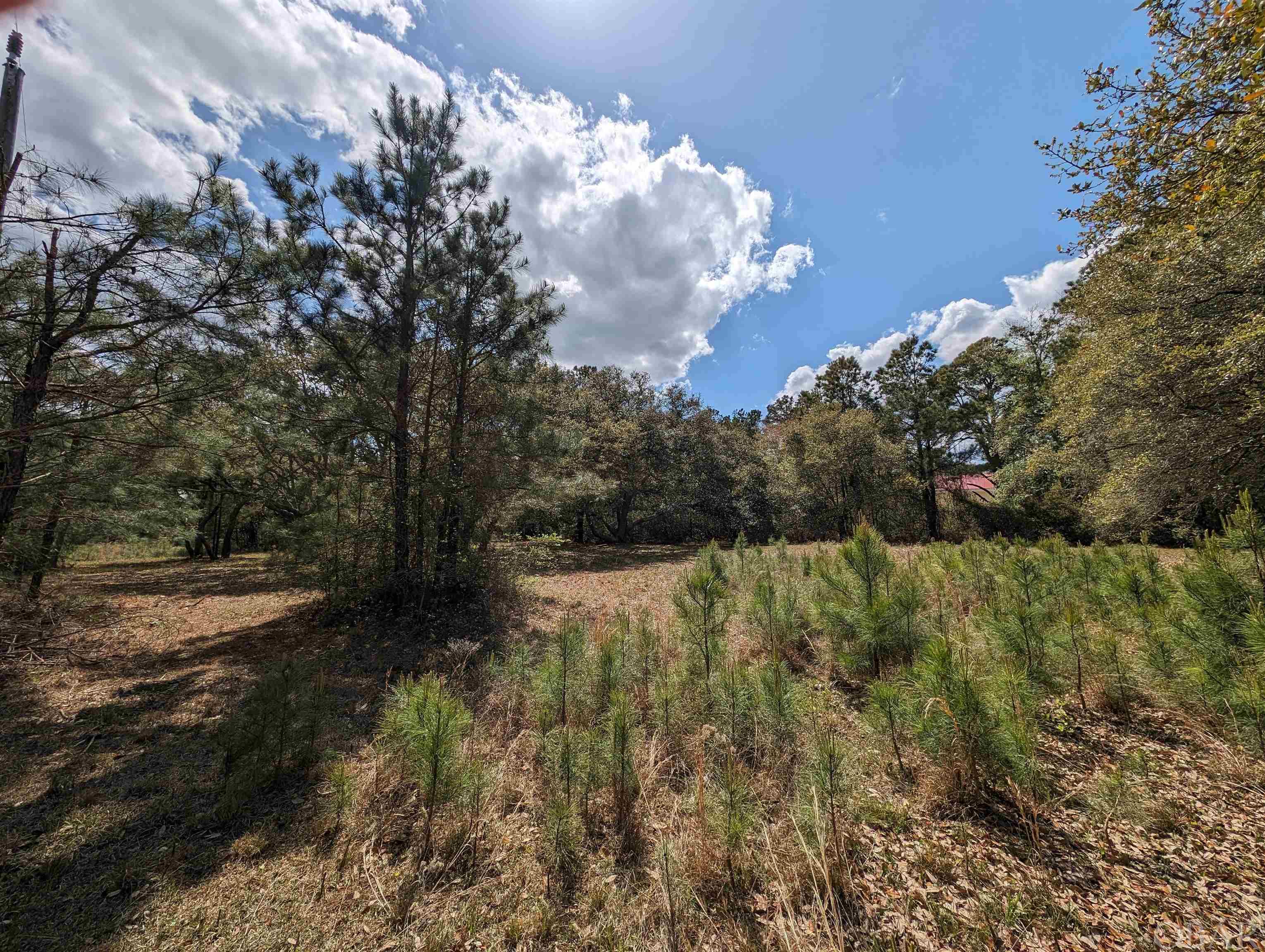 2392 Ocean Sands Road Lot 4