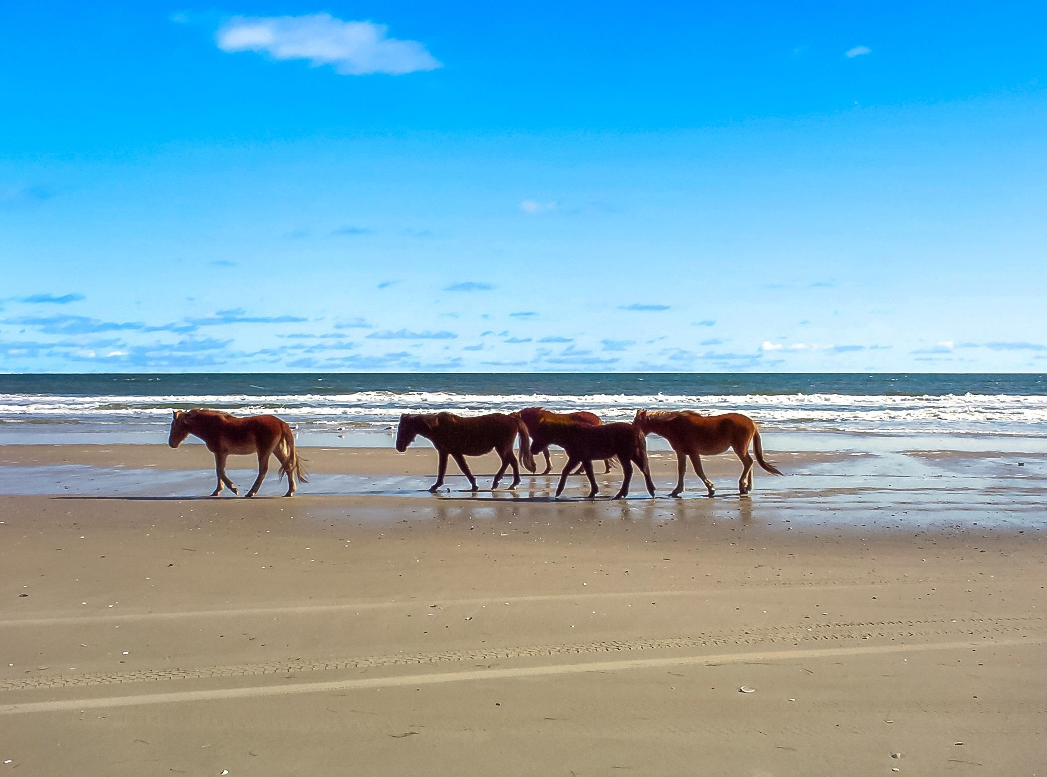 2091 Sandpiper Road Lot #140