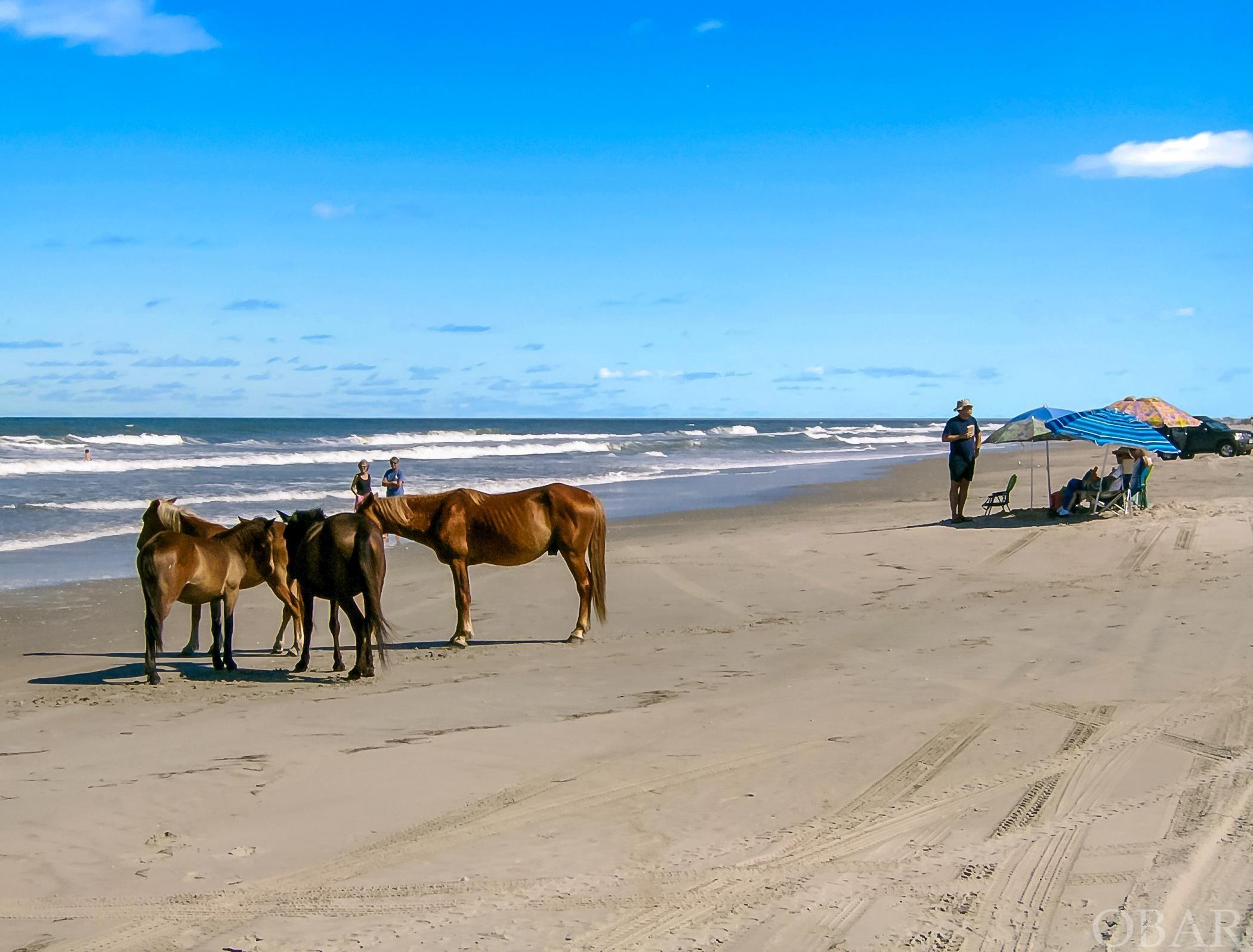 2180 Sandpiper Road Lot #8