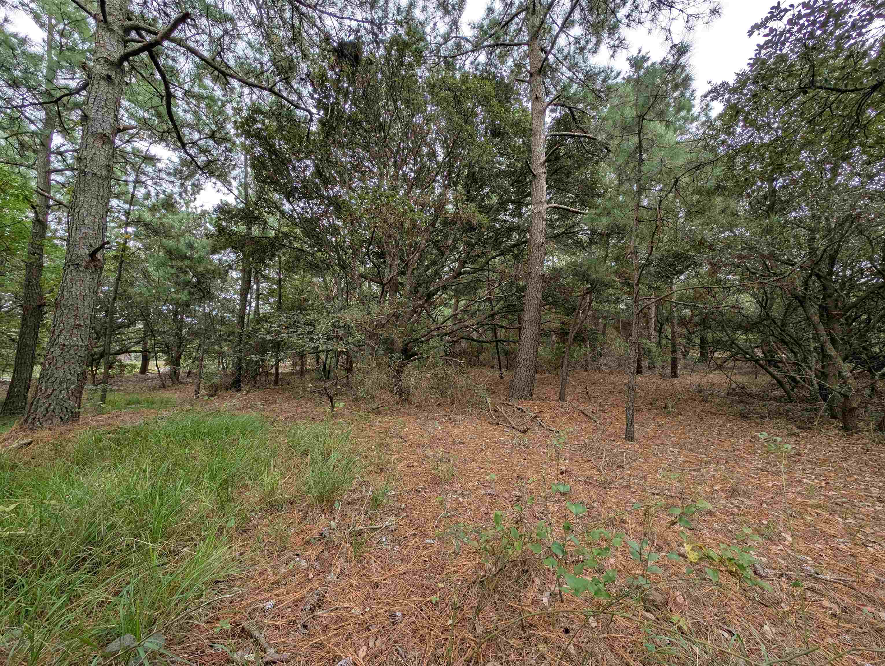 2207 Teal Road Lot #9