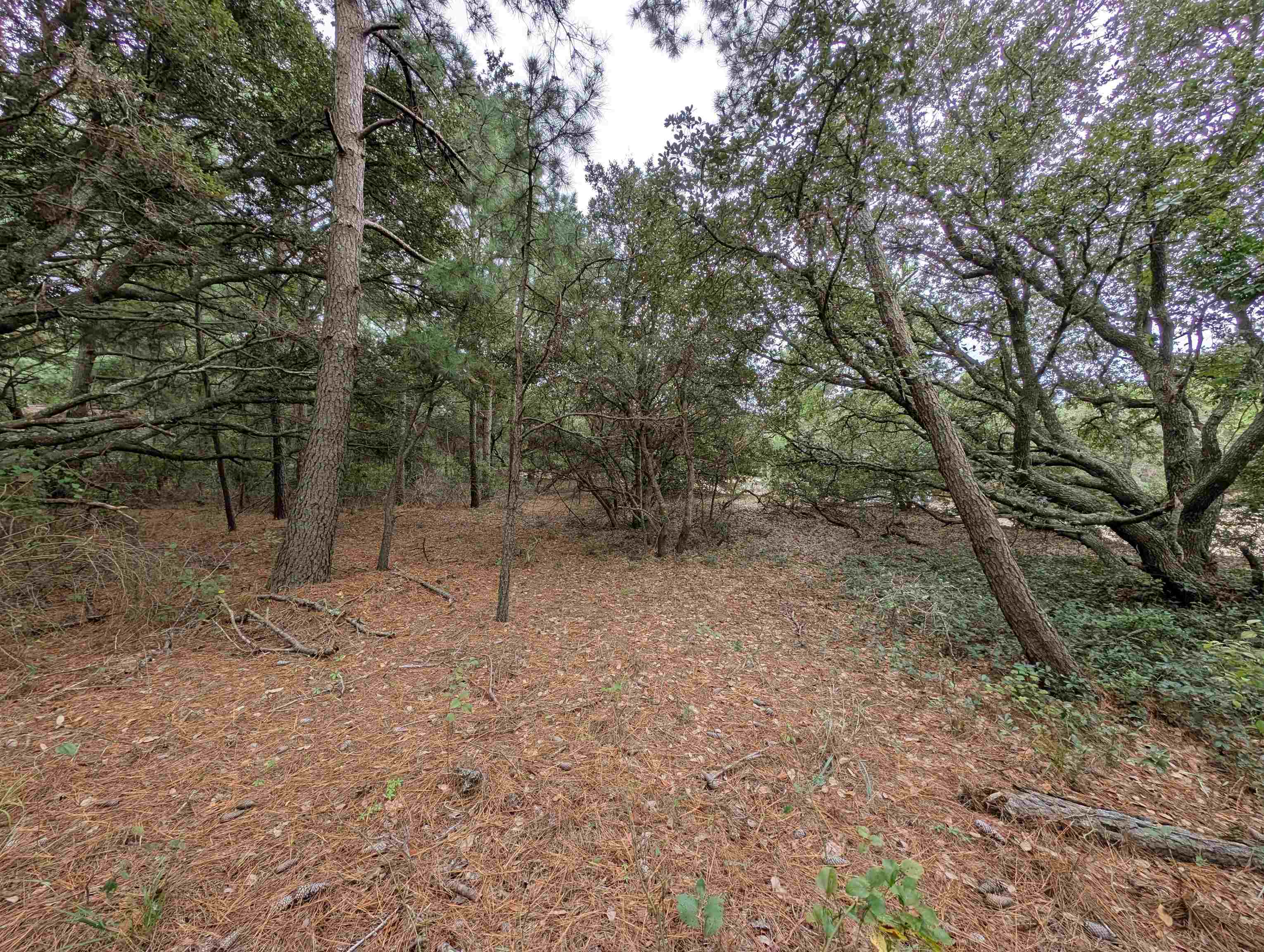 2207 Teal Road Lot #9