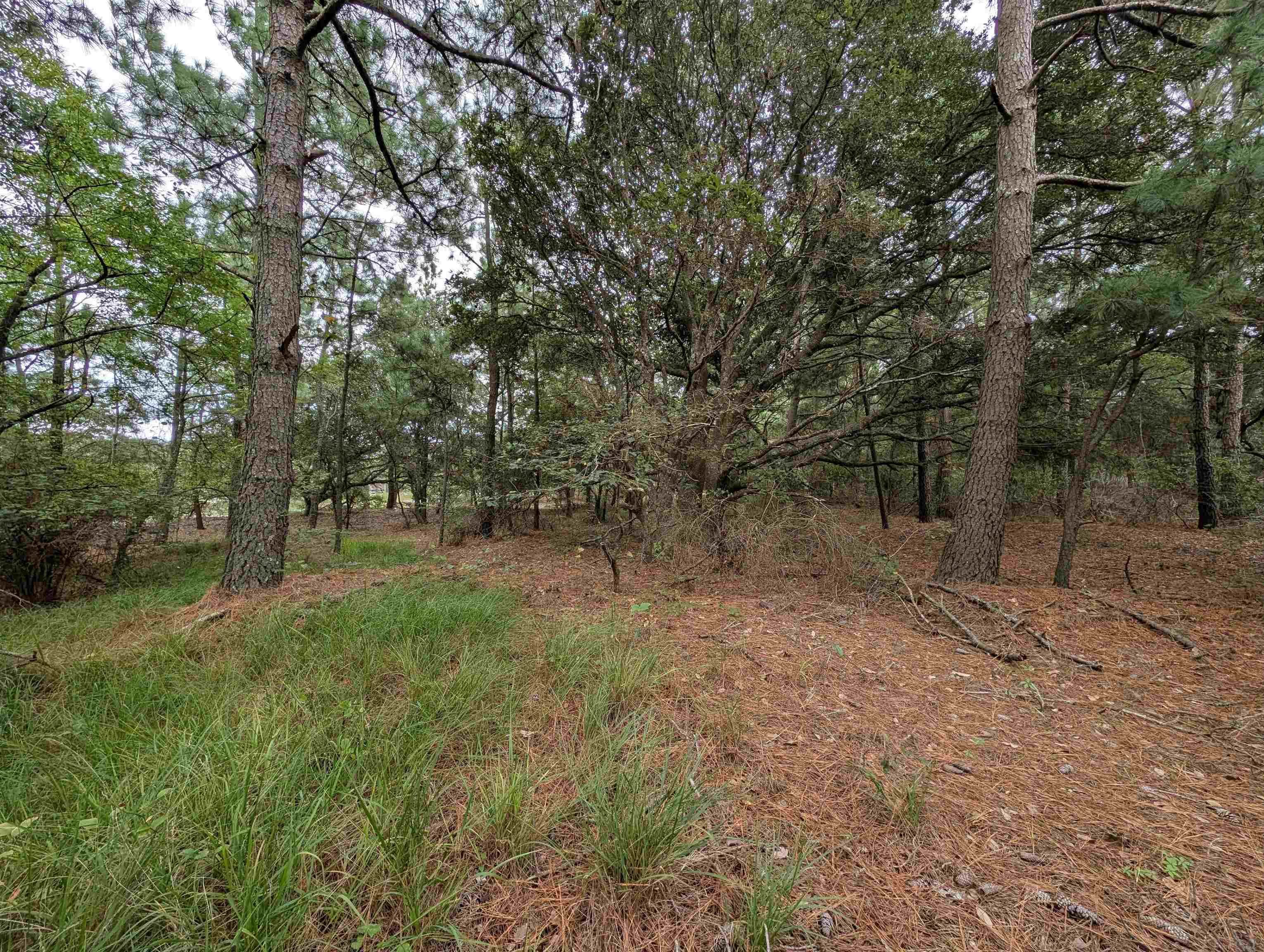 2207 Teal Road Lot #9
