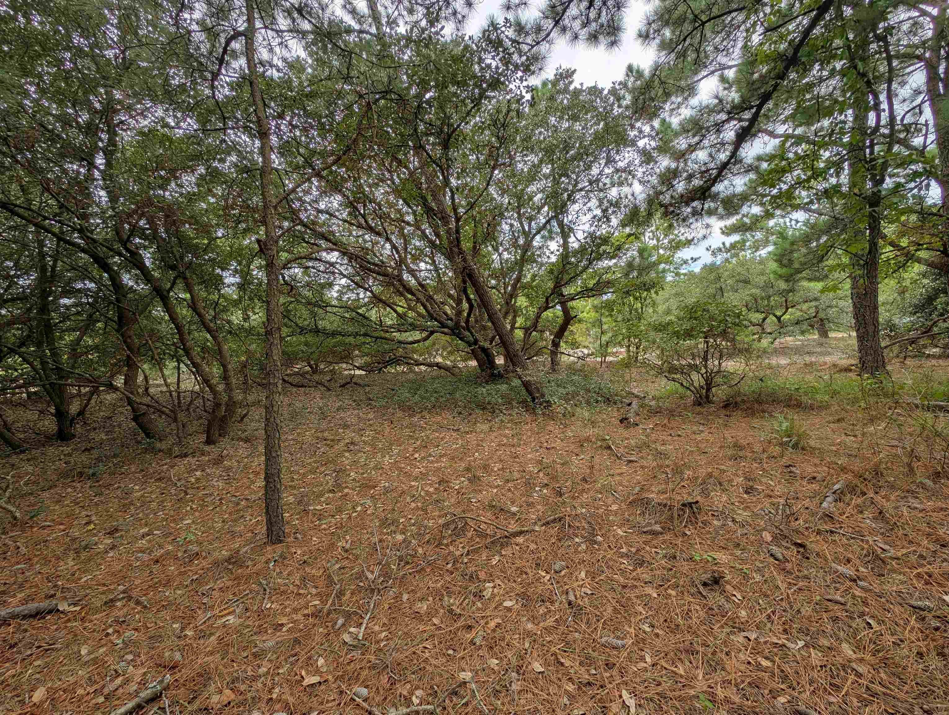 2207 Teal Road Lot #9