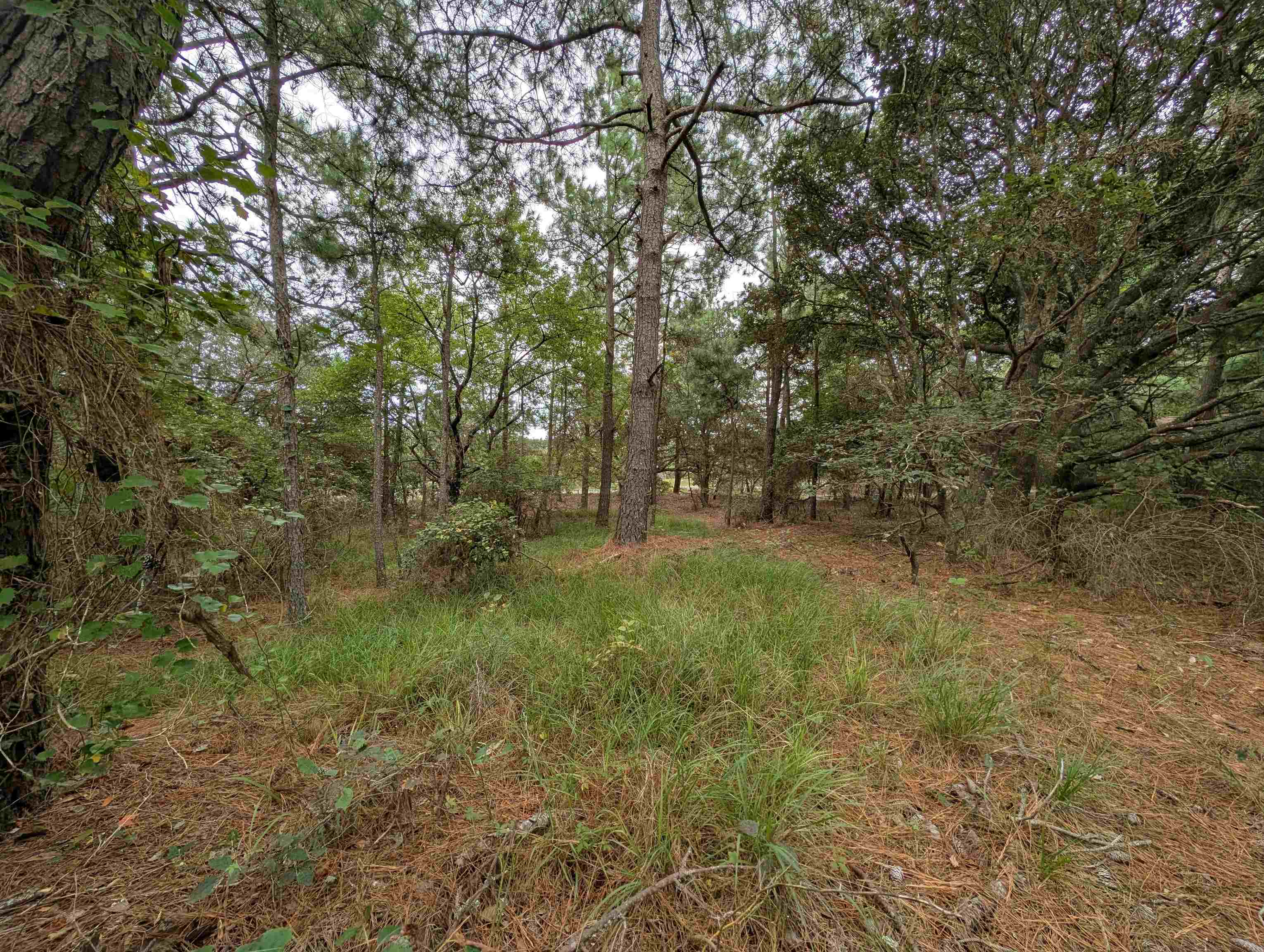 2207 Teal Road Lot #9