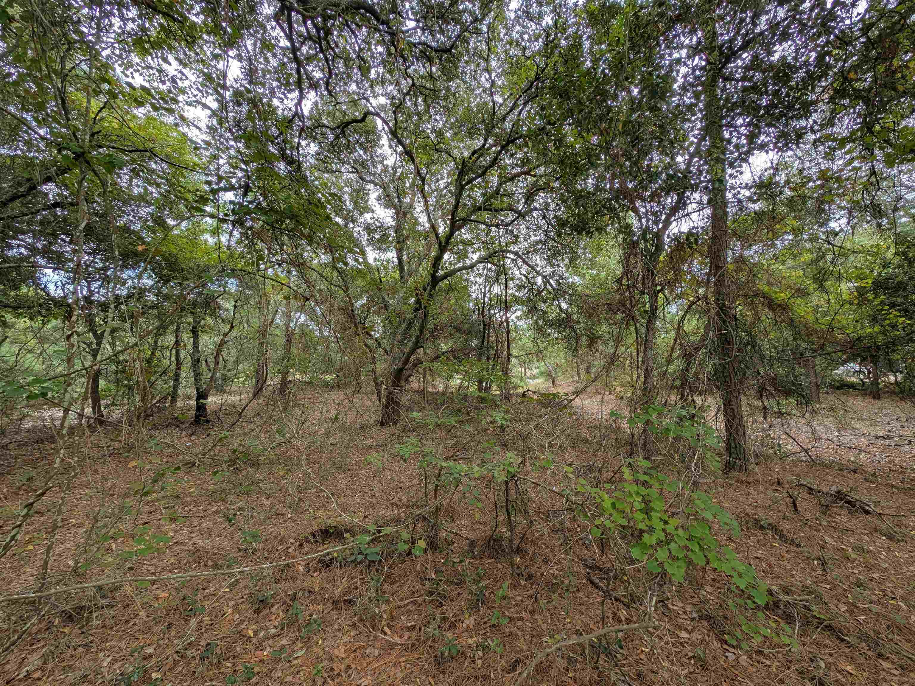 2243 Teal Road Lot #10