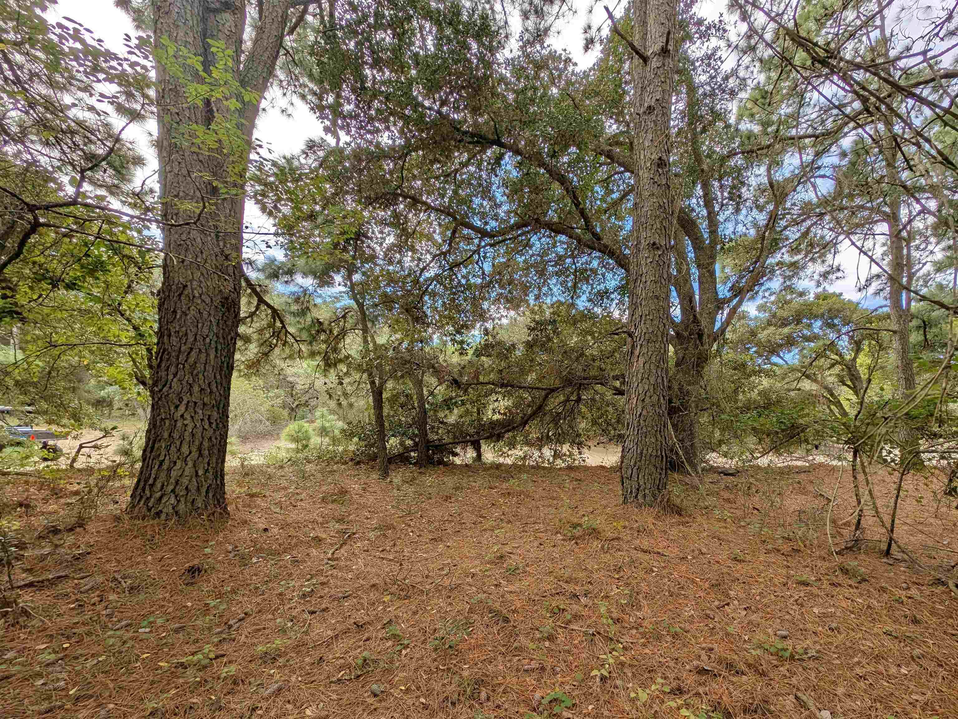 2243 Teal Road Lot #10