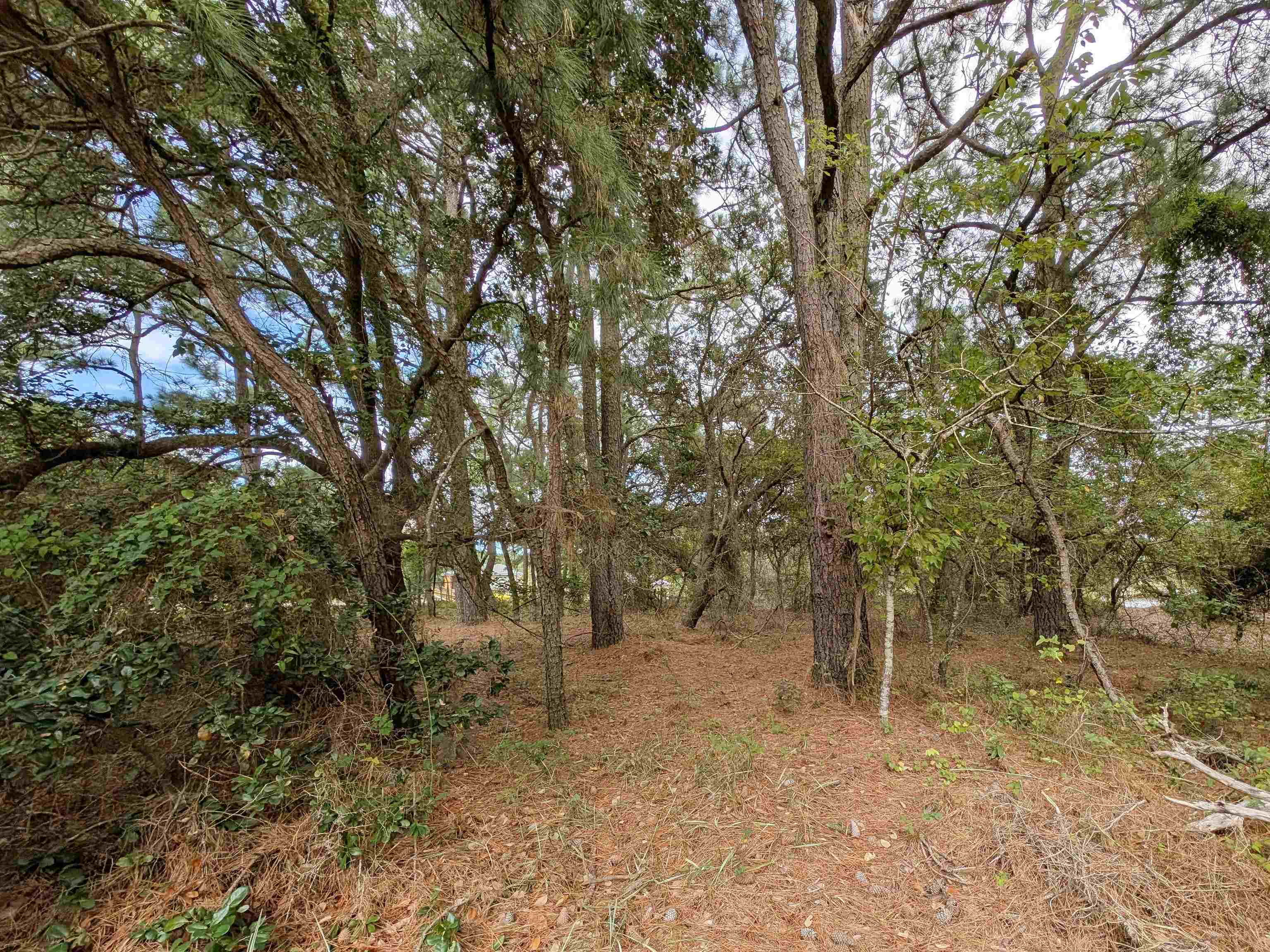 2243 Teal Road Lot #10