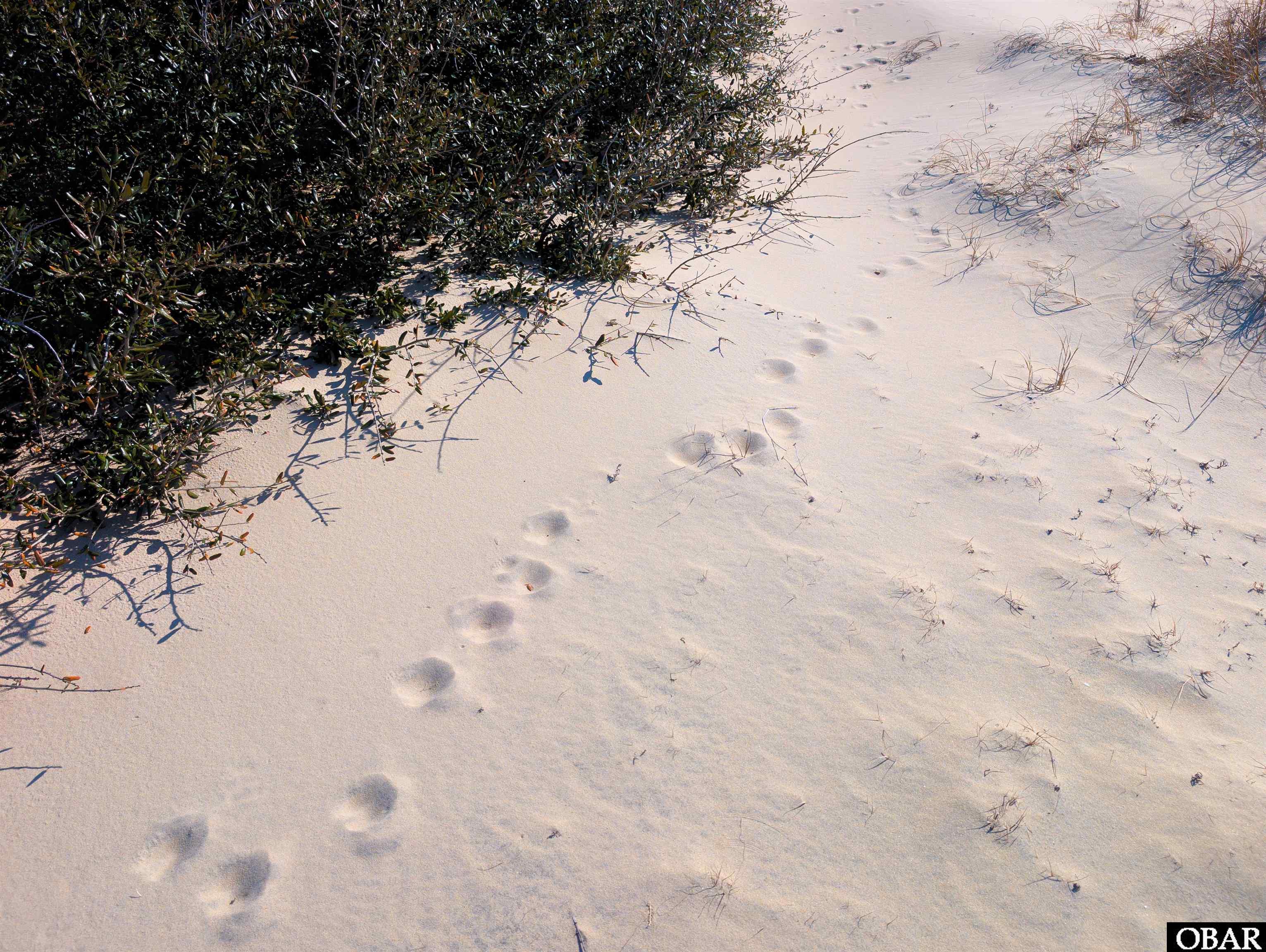 1623 Ocean Pearl Road Lot 24