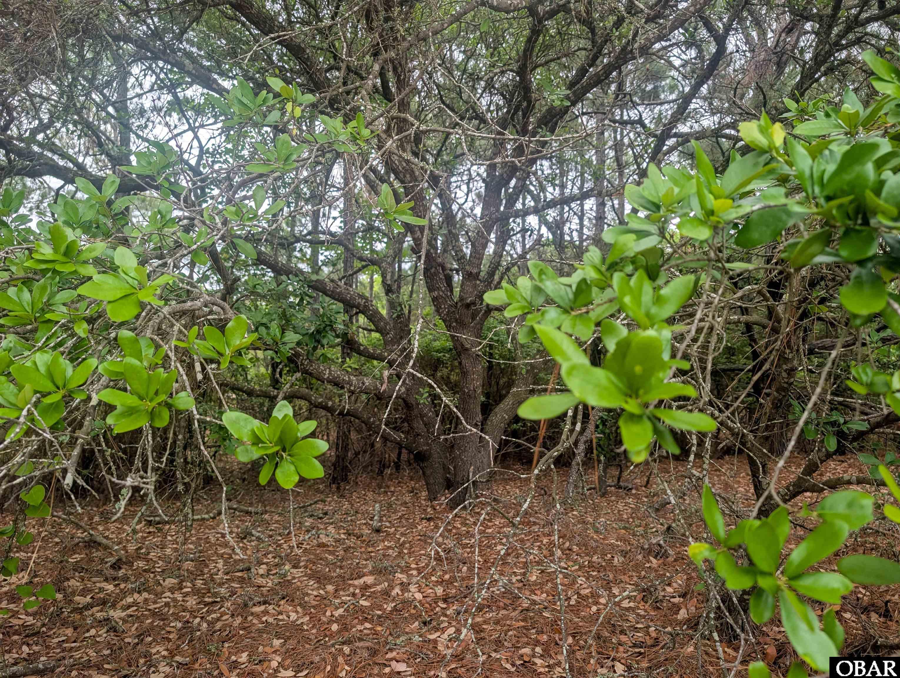 401 Red Snapper Lane Lot #4