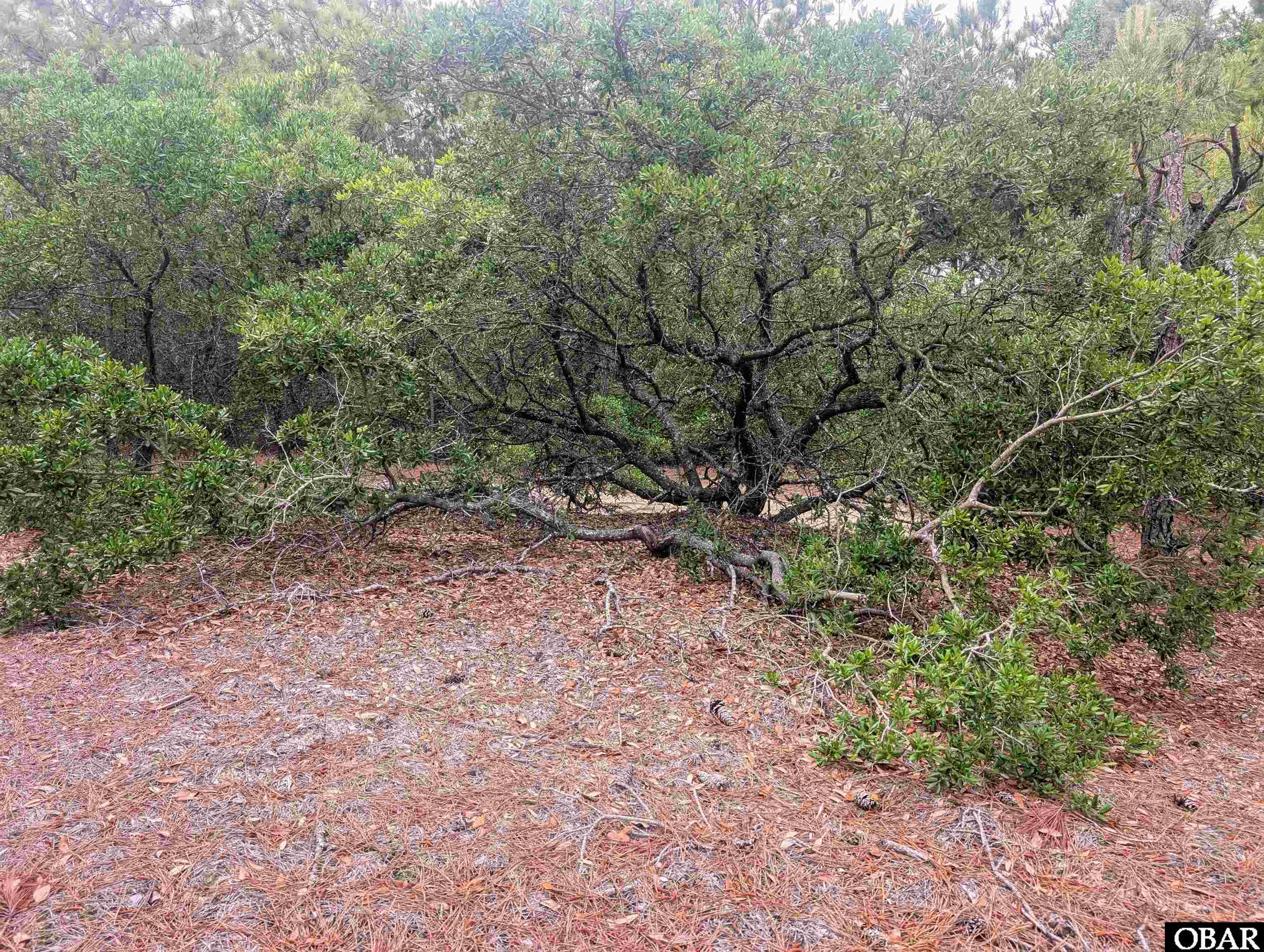 405 Red Snapper Lane Lot #5