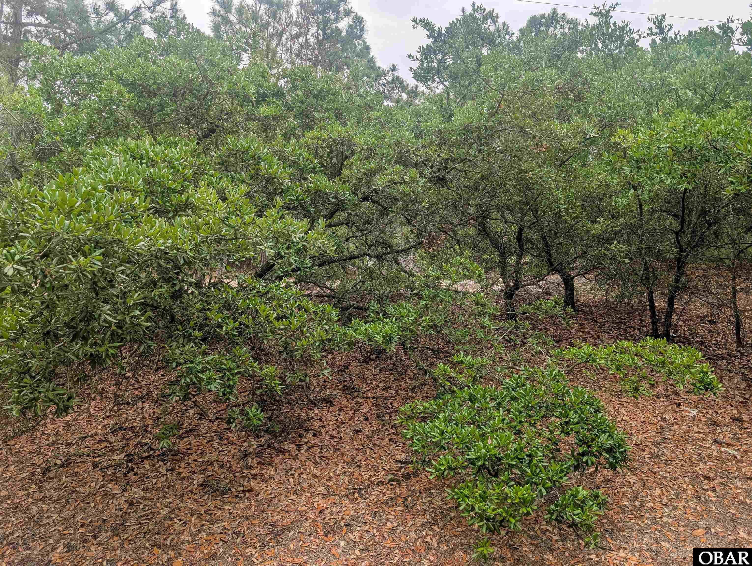 405 Red Snapper Lane Lot #5